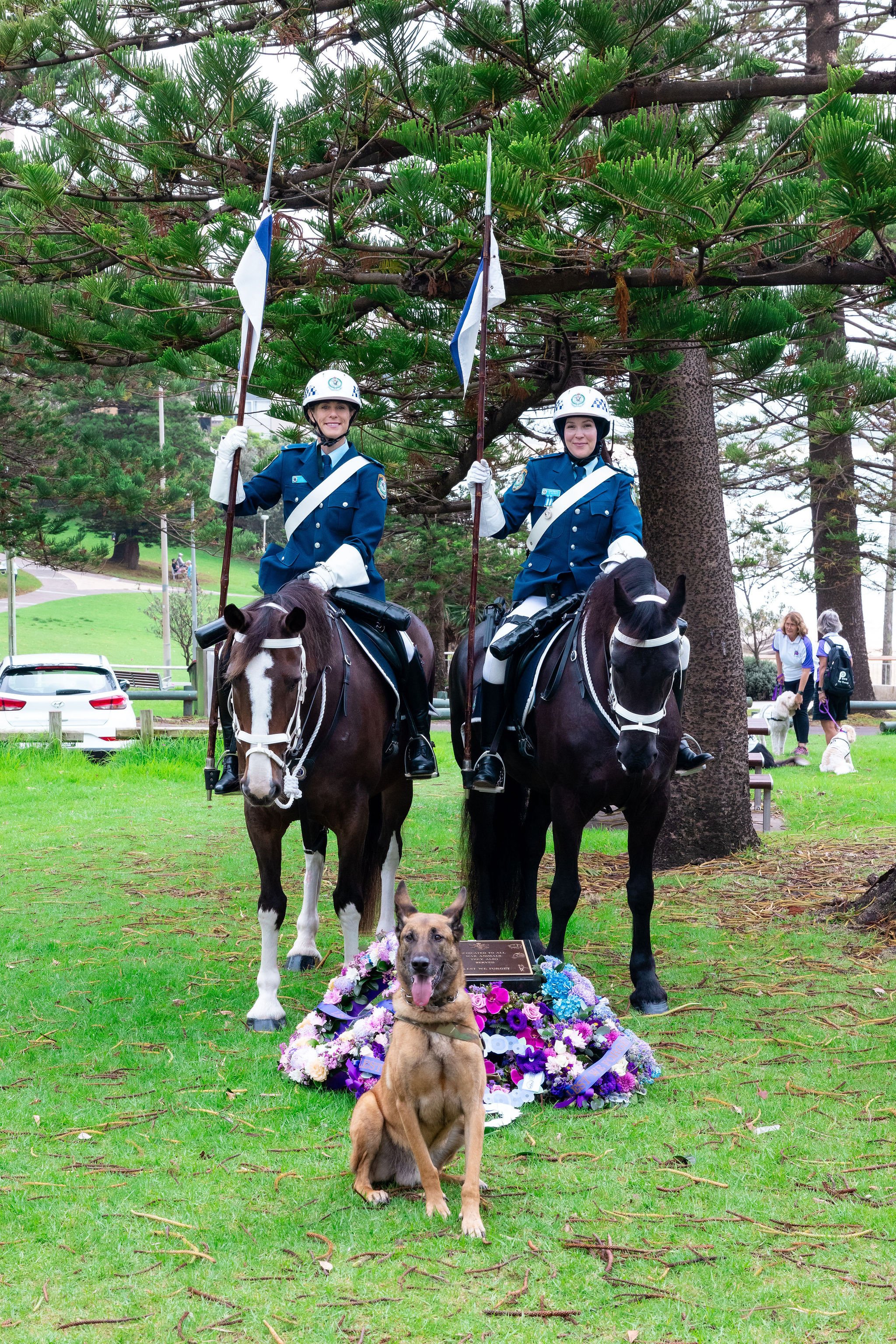 Manic with Police Horses.jpg