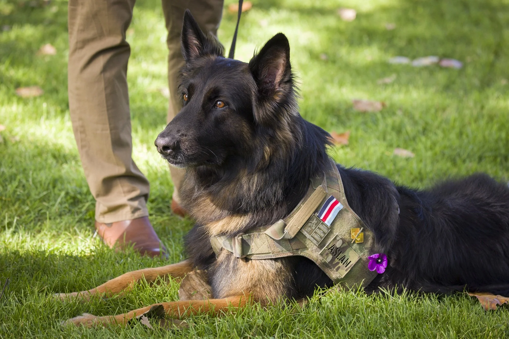 Remembering Aslan: A Life of Service, Courage and Love