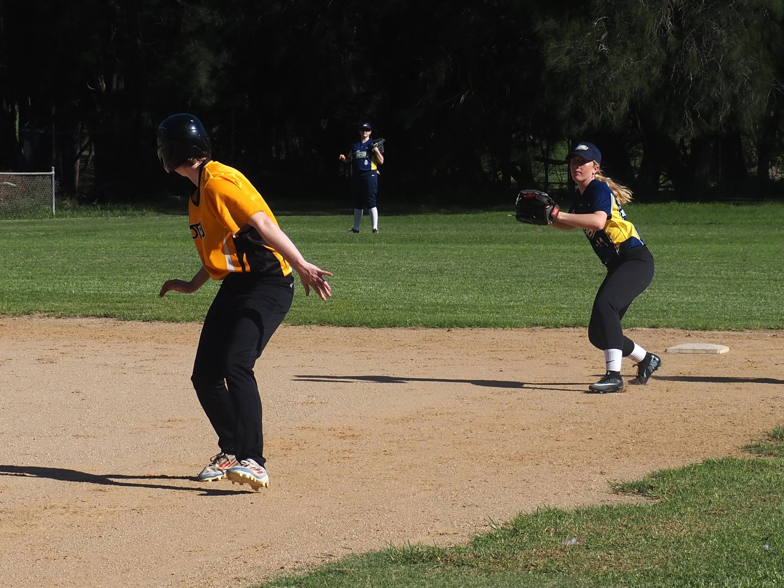 P3141566.JPG