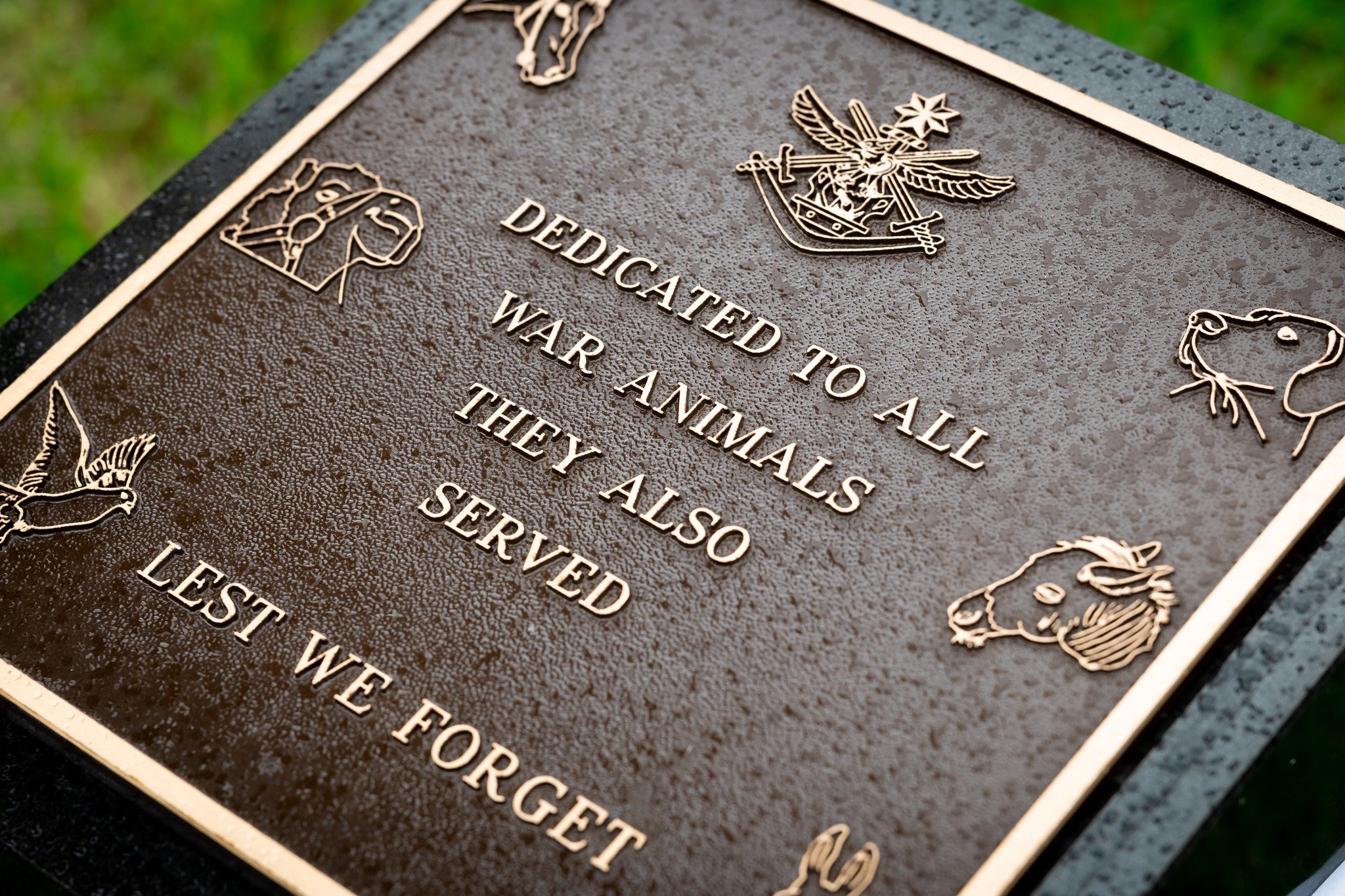 War Animal Day 2023 