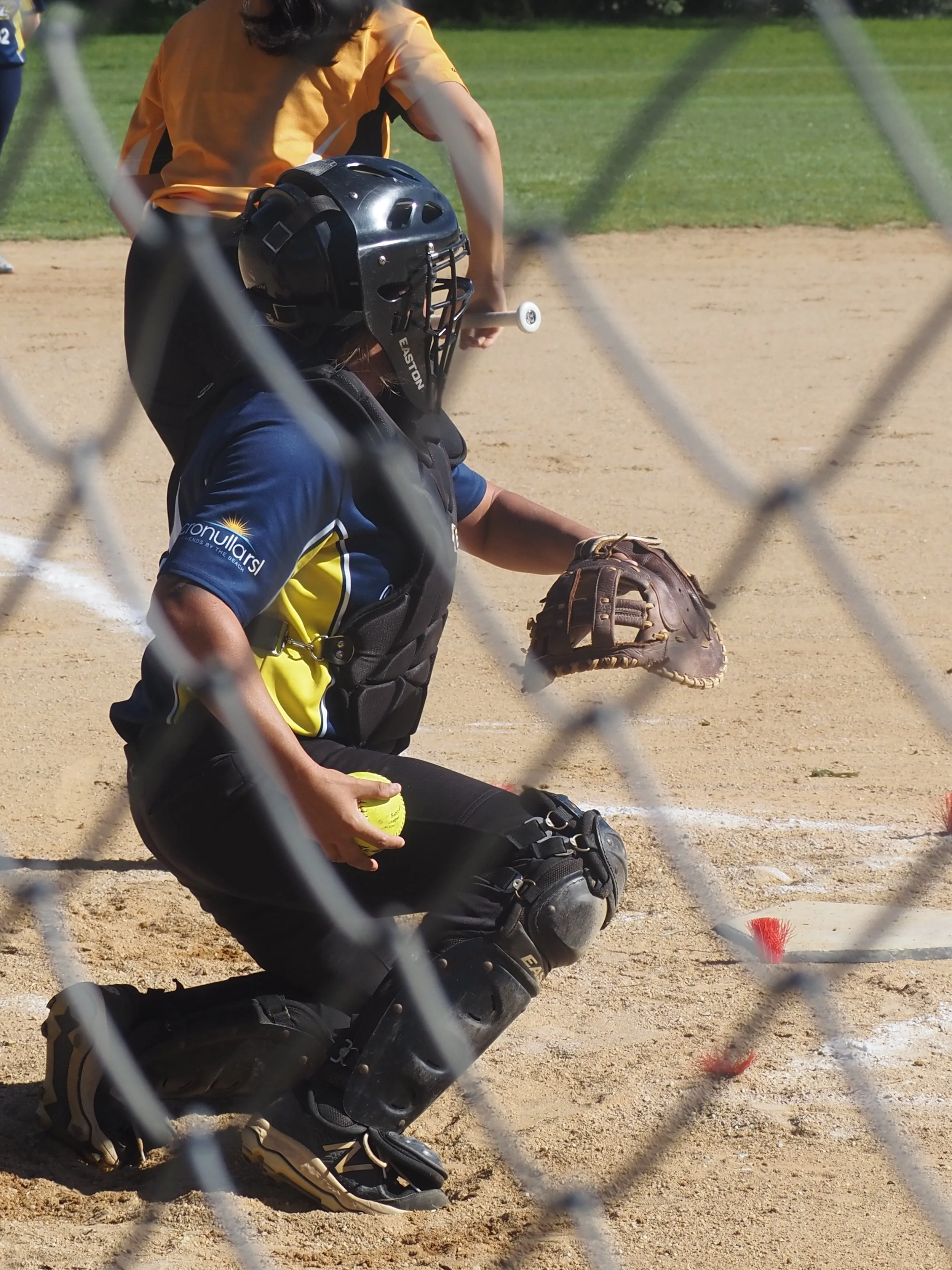 P3141494.JPG
