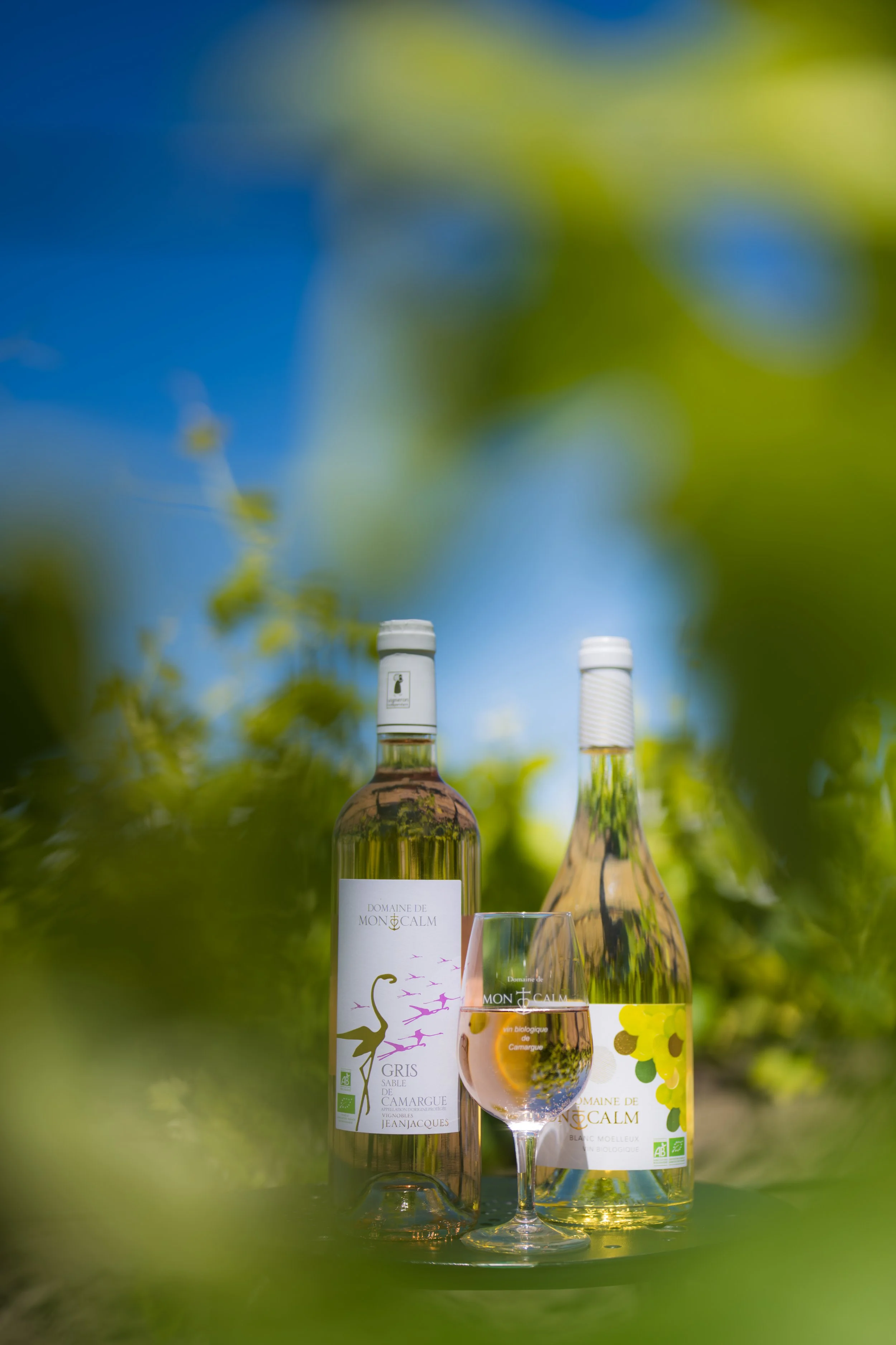 Montcalm Fichier Compressé-23.jpg