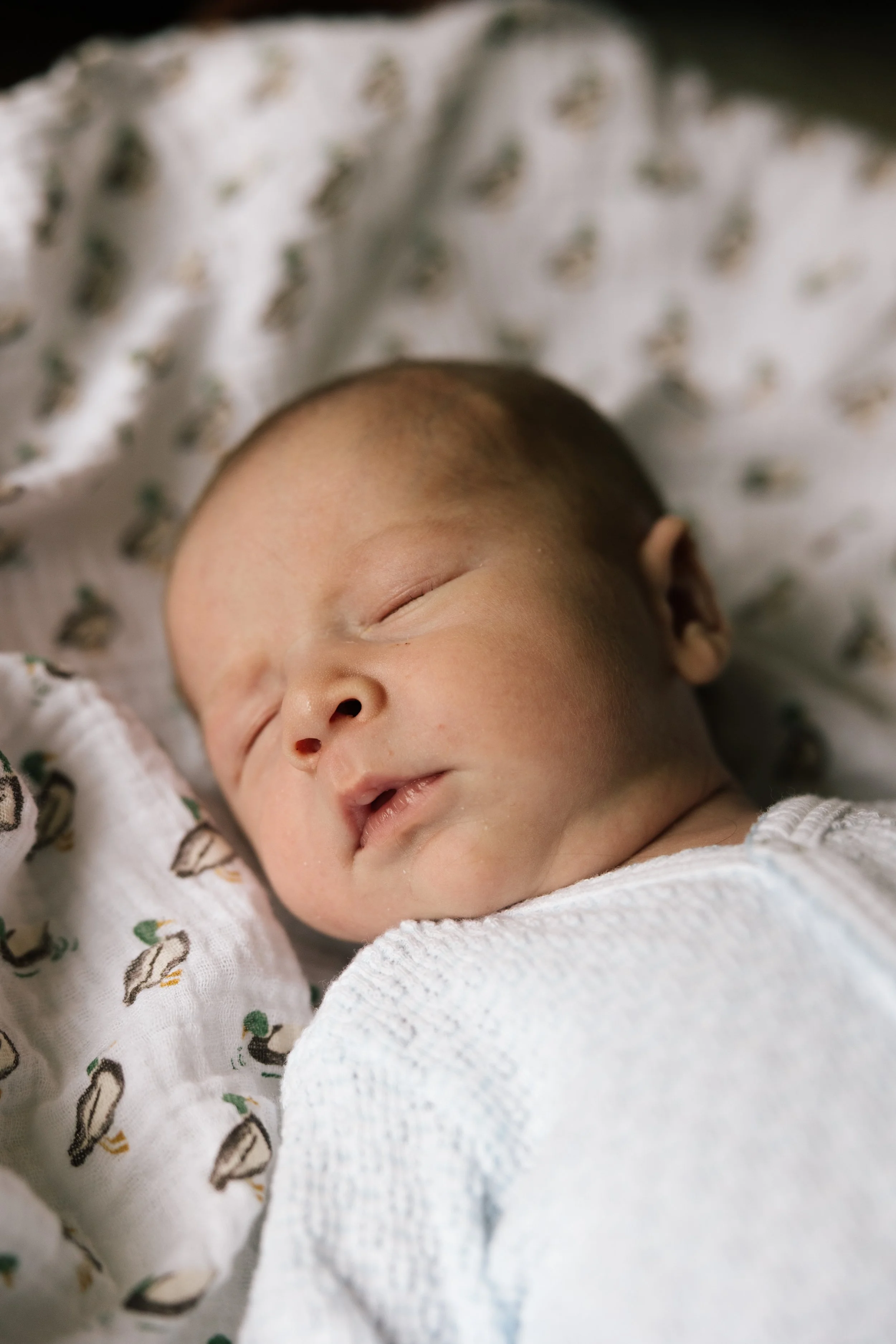newborn-19.jpg