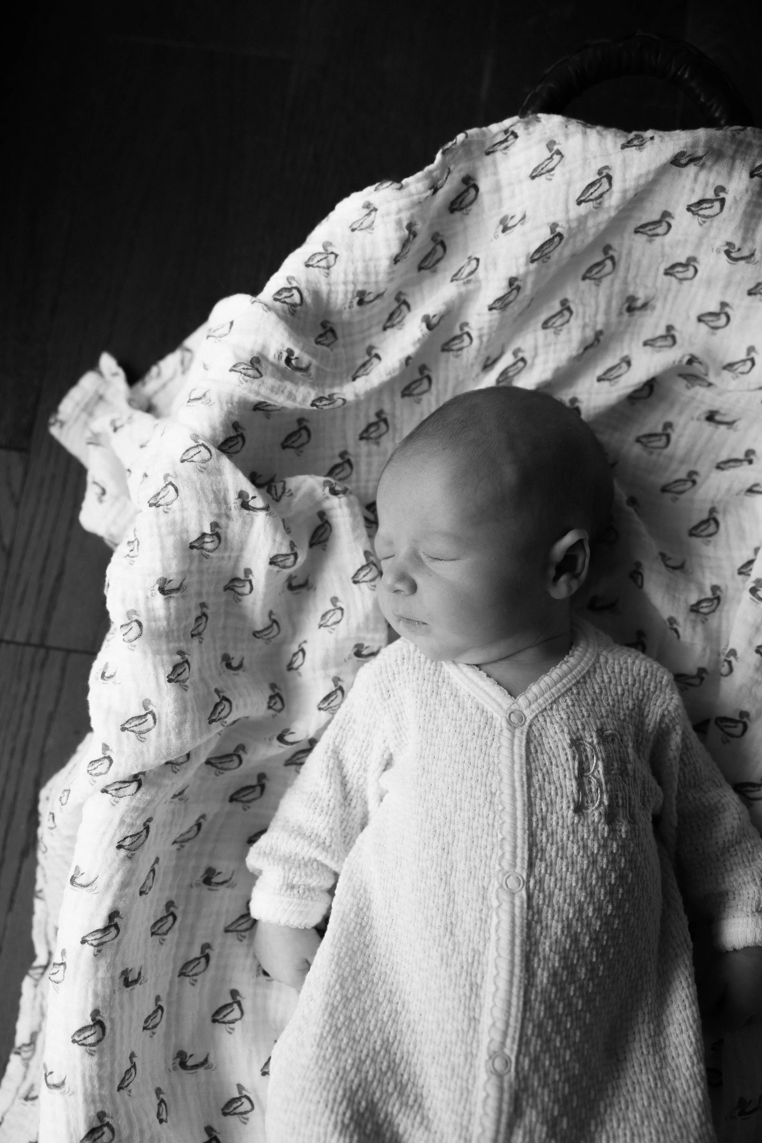 newborn-88.jpg