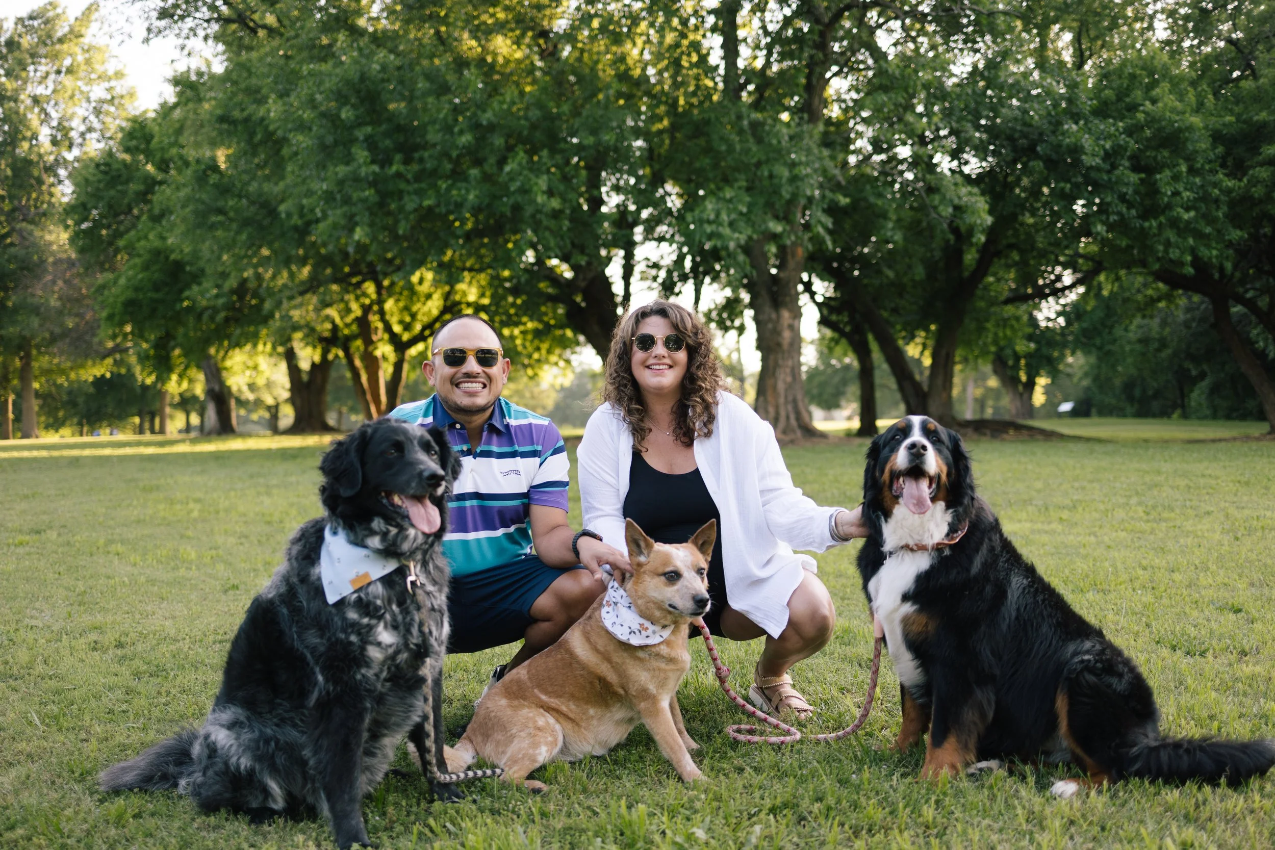 PRAIRIE GROVE BATTLEFIELD PARK - MATERNITY SESSION WITH DOGS