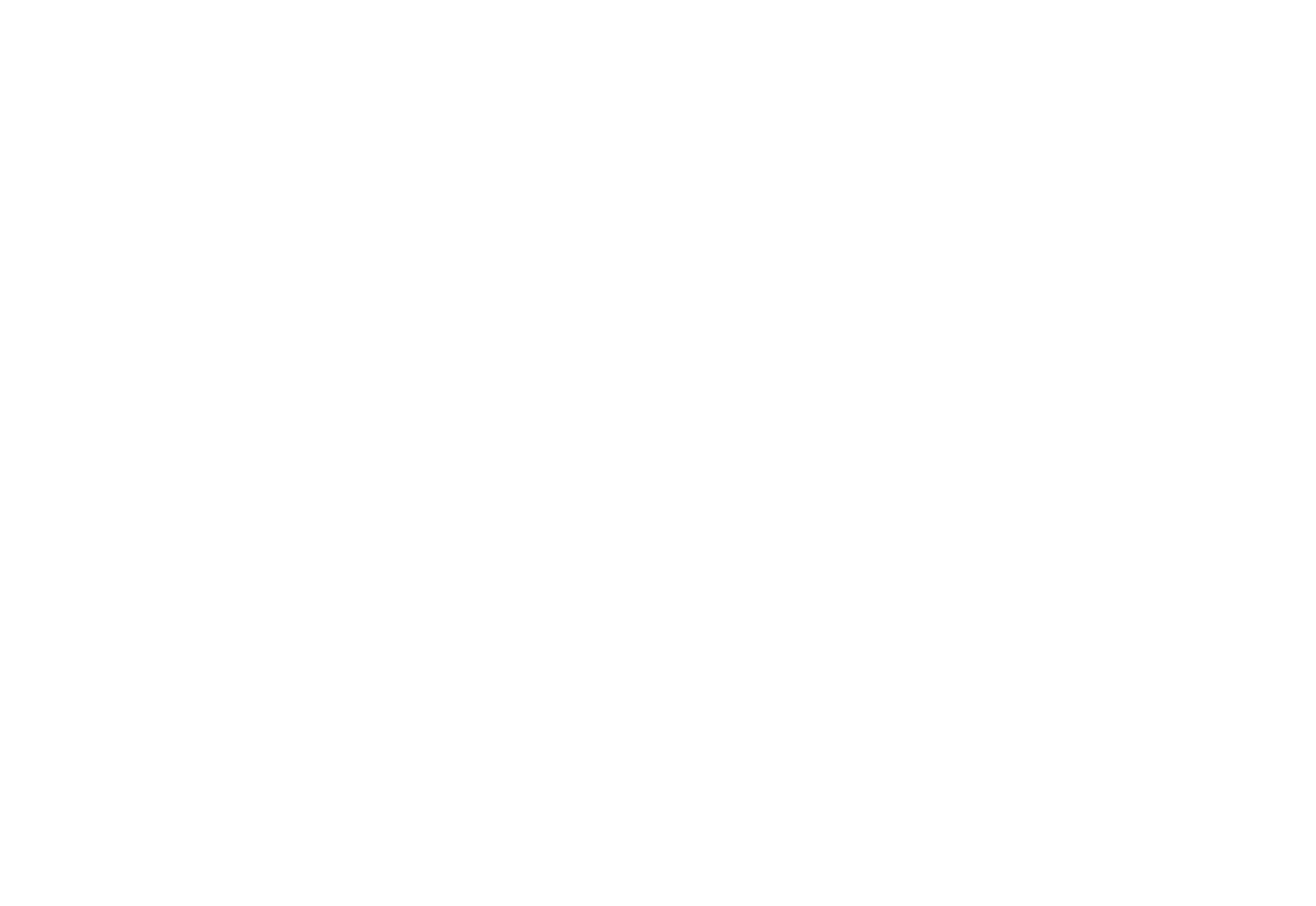 Bridge Physical Therapy and Wellness