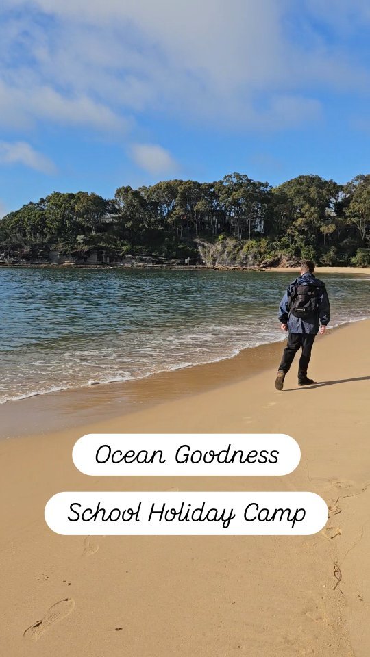 Ocean + Sunshine + fishing + play = happy souls
#wellness #youthempowerment #youthmentoring #schoolholidays #fun #ndis