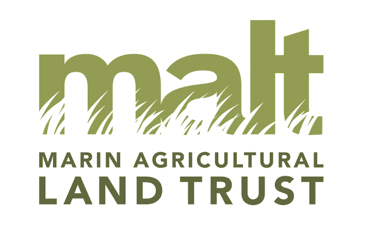 MALT Logo transparent.png