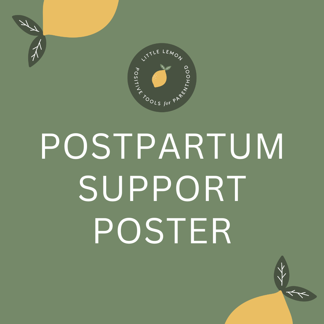 POSTPARTUM SUPPORT POSTER.png