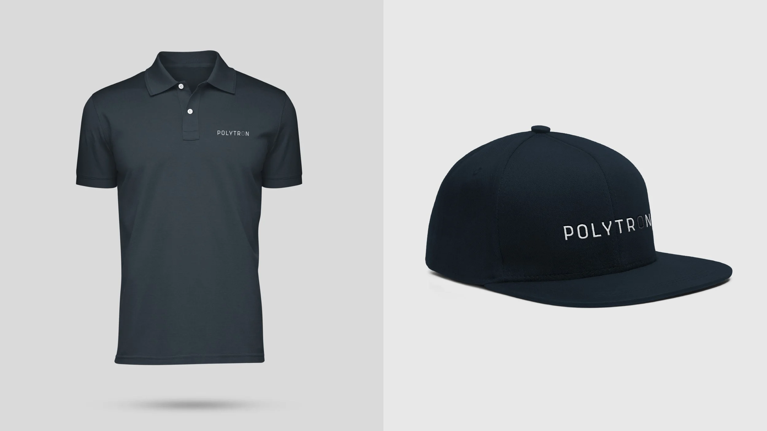 Polytron_0004_6.jpg