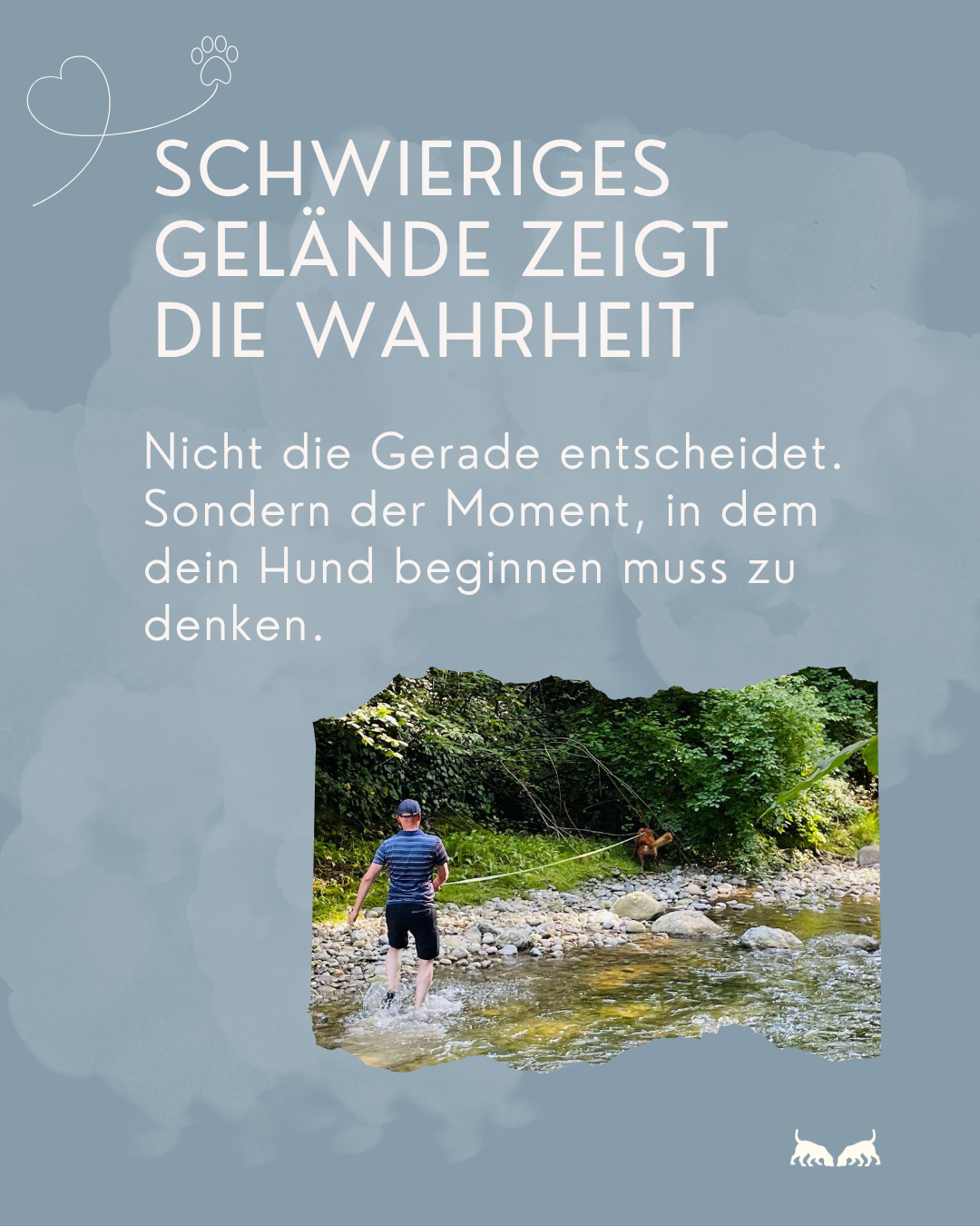 Woran erkenne ich, ob mein Hund wirklich trailt oder einfach schnüffelt?