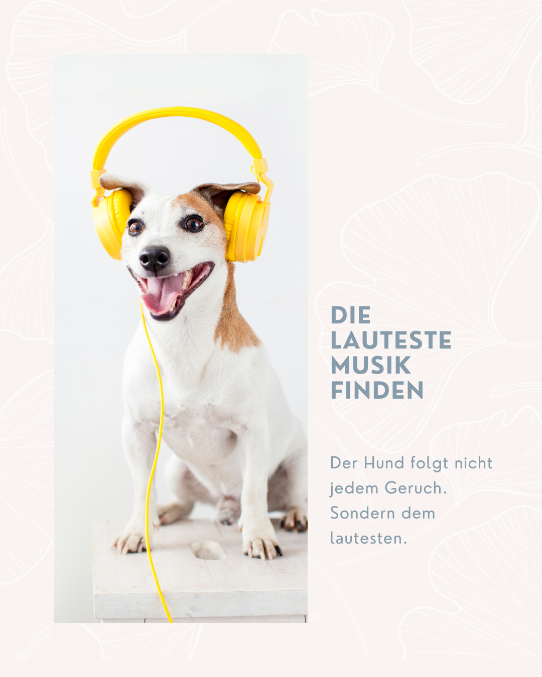Wie Geruch im Mantrailing funktioniert – Warum die Spur selten dort liegt, wo du sie erwartest