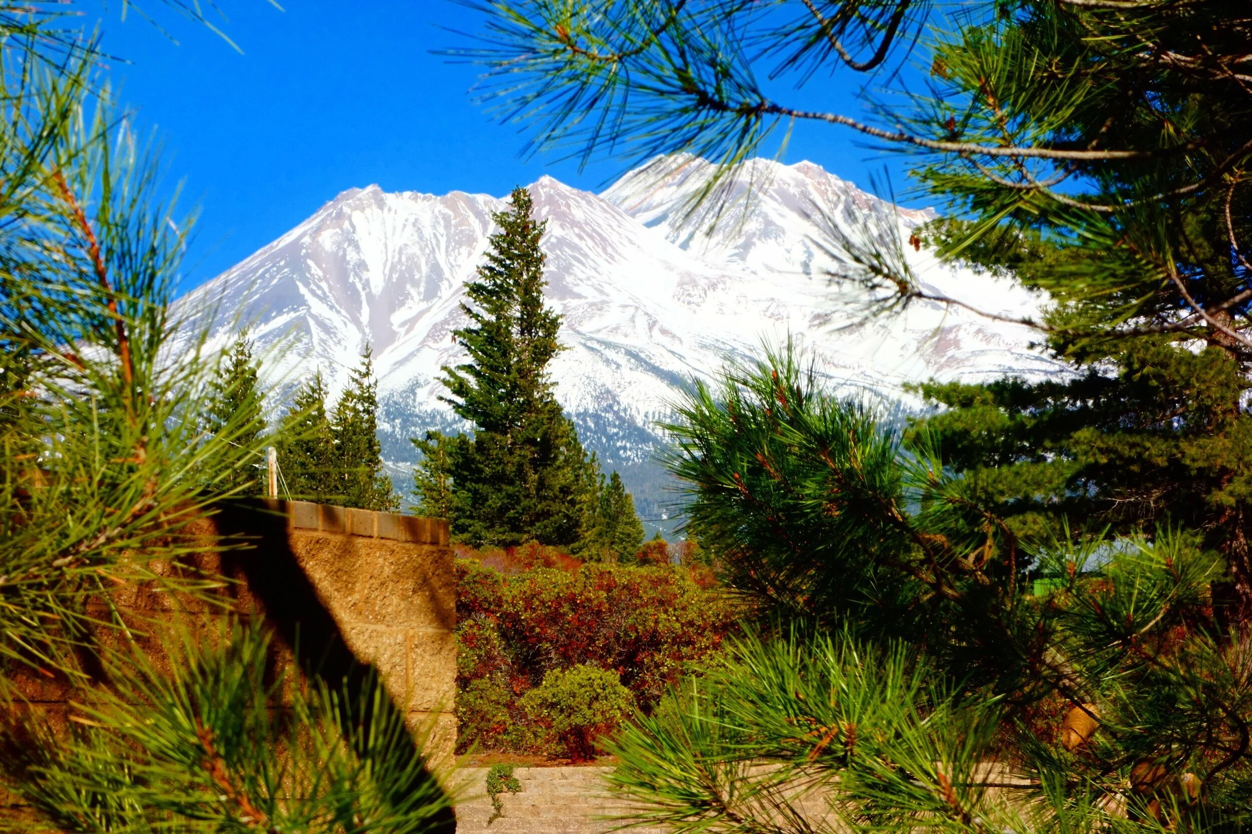 The Venusian               Retreat House                   Mt Shasta