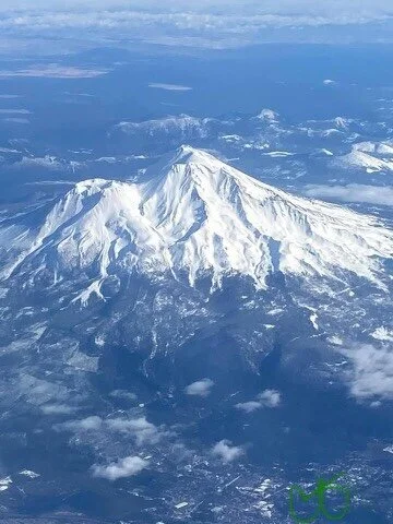 Paul of Venus Documentary ( calling my star family )