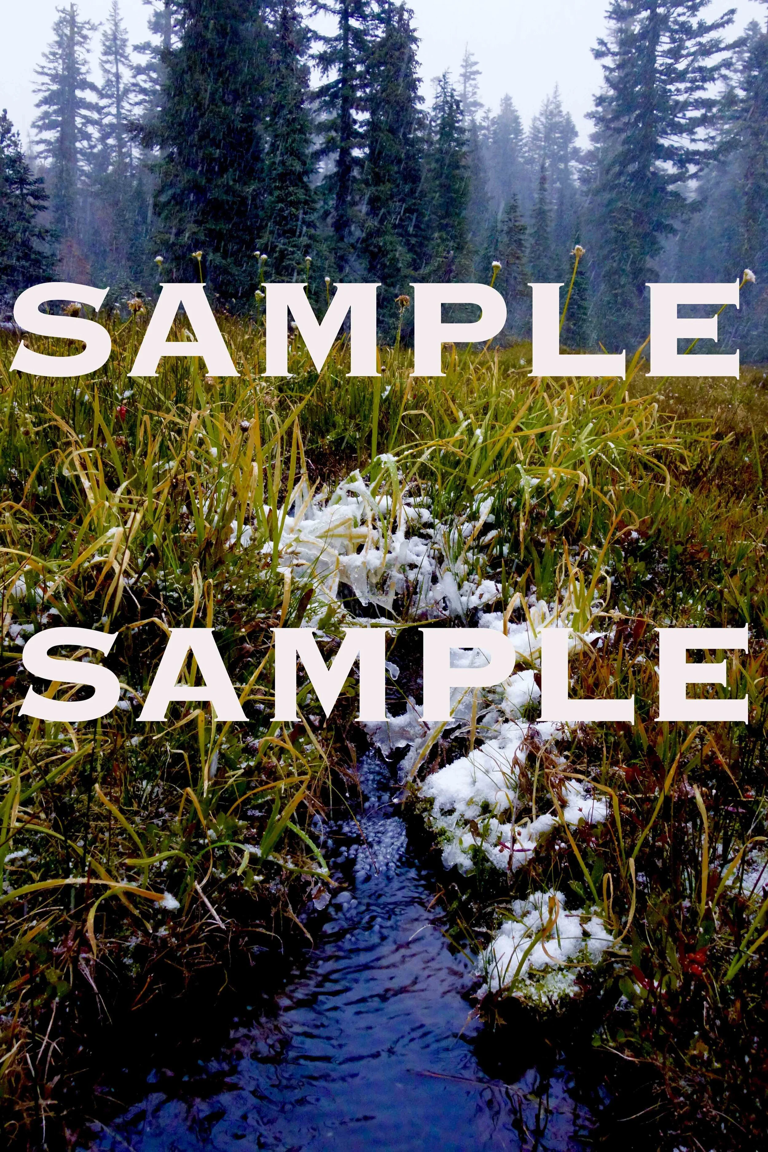 Photo of Saint Germain at Panther Meadows