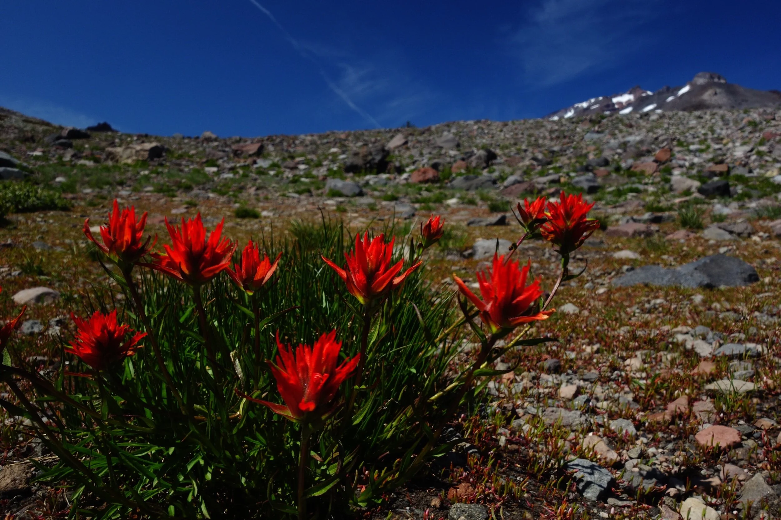 Saint Germain Sacred Retreat 2019 was so beautiful and activating