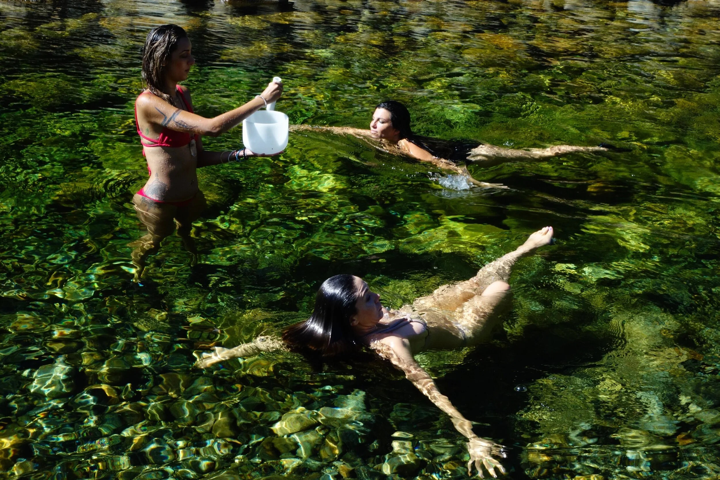 Lioness Gate Mt Shasta