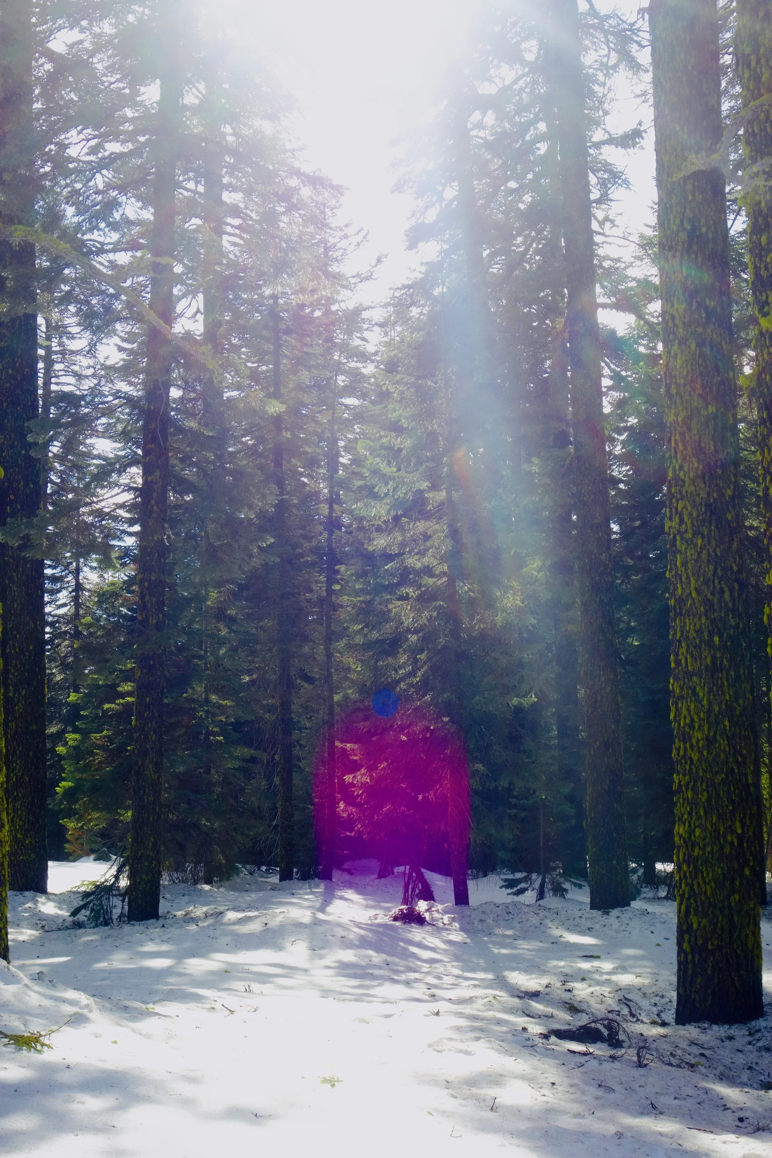 The Violet ray of Saint Germain 