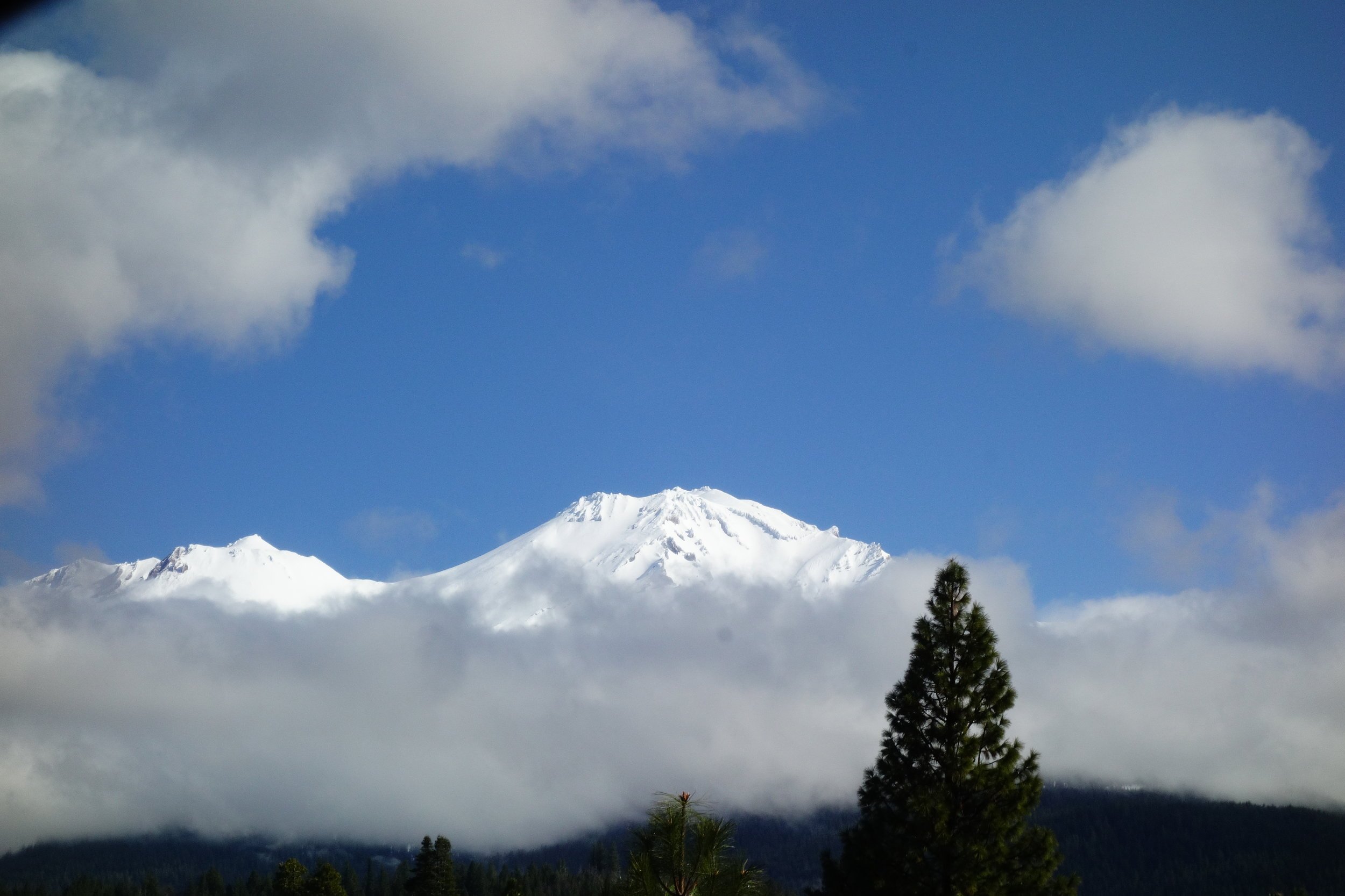 Mt. Shasta Spiritual Tours