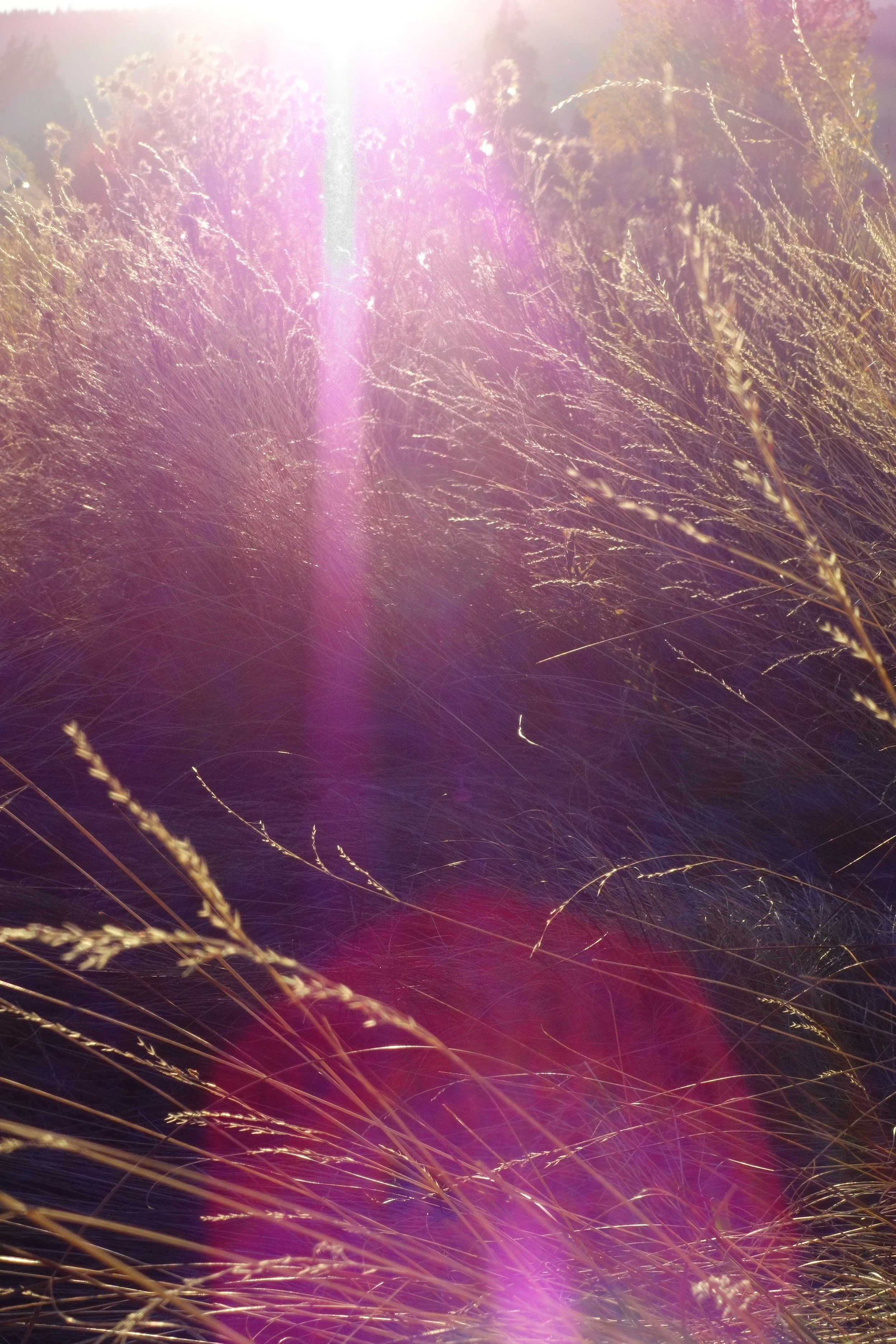 You are fully supported and loved as a child of the universe 