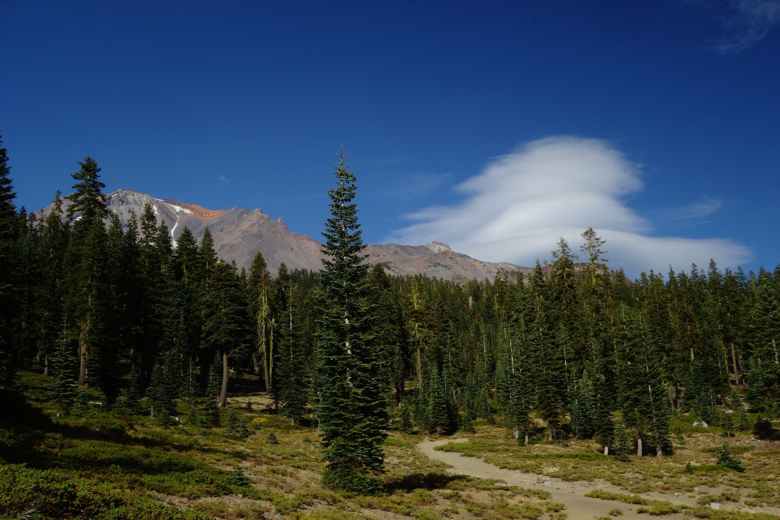 DSC03096.JPG