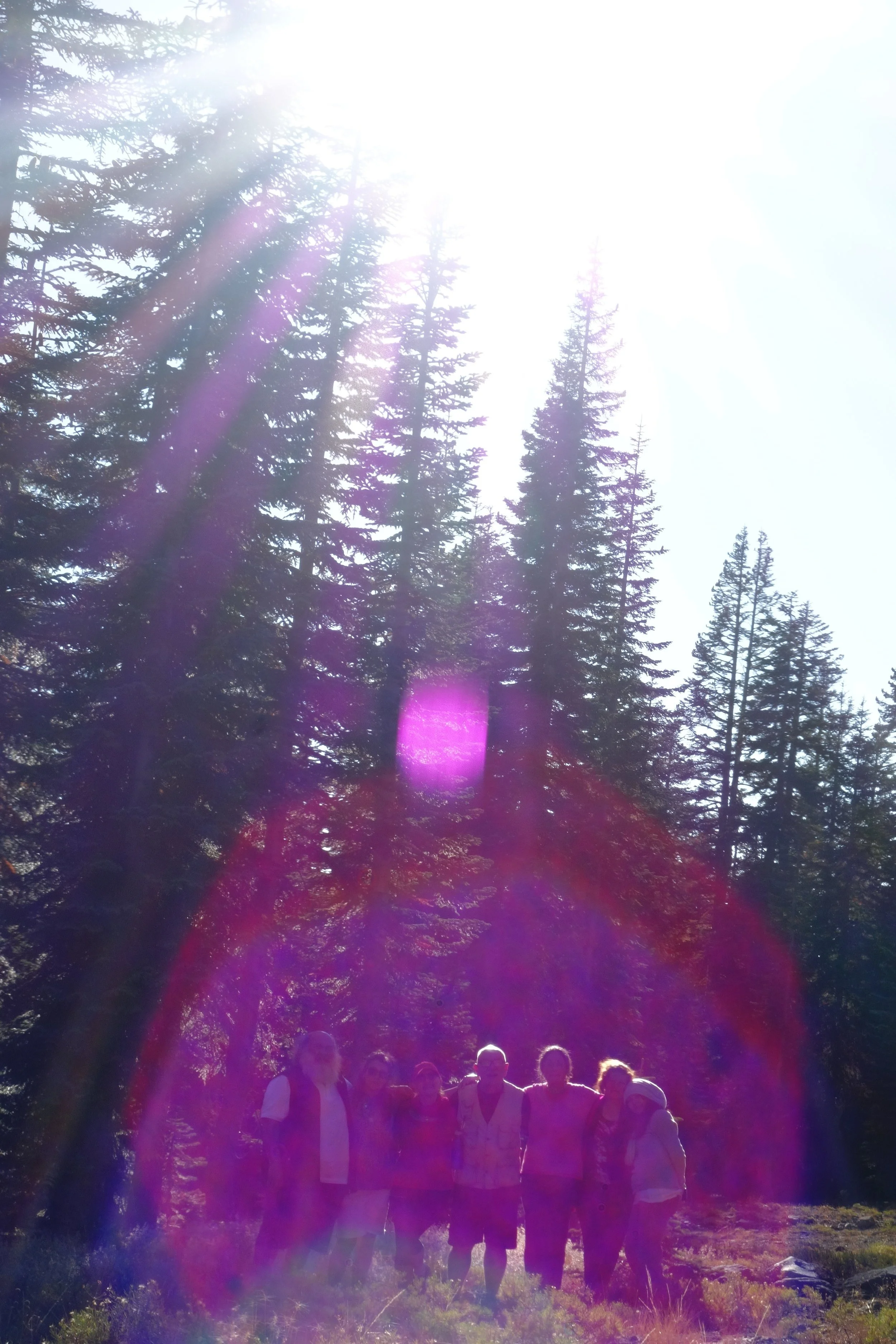 Brazil and London homecoming Mt Shasta 