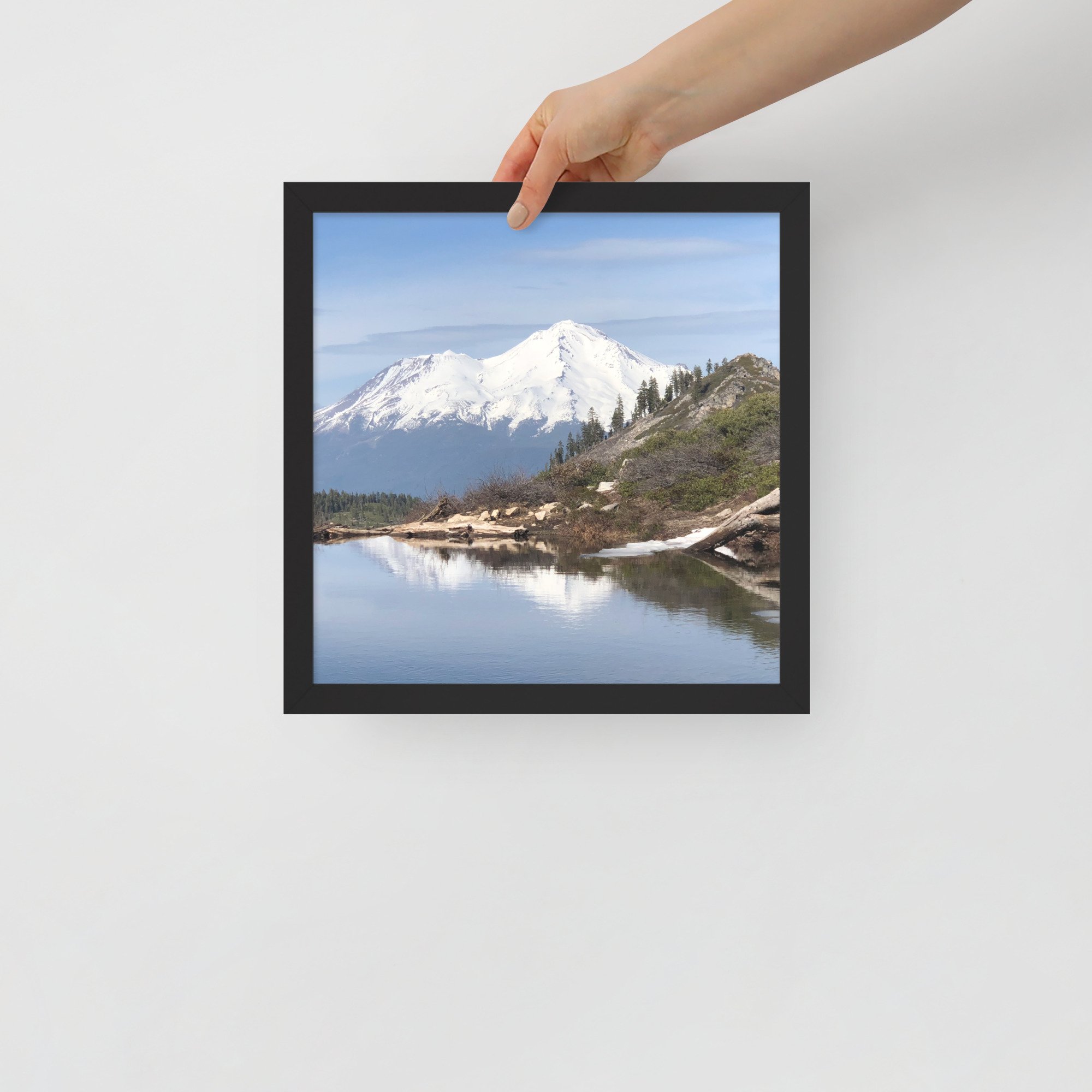enhanced-matte-paper-framed-poster-(in)-black-12x12-front-63681fe79f7a5.jpg