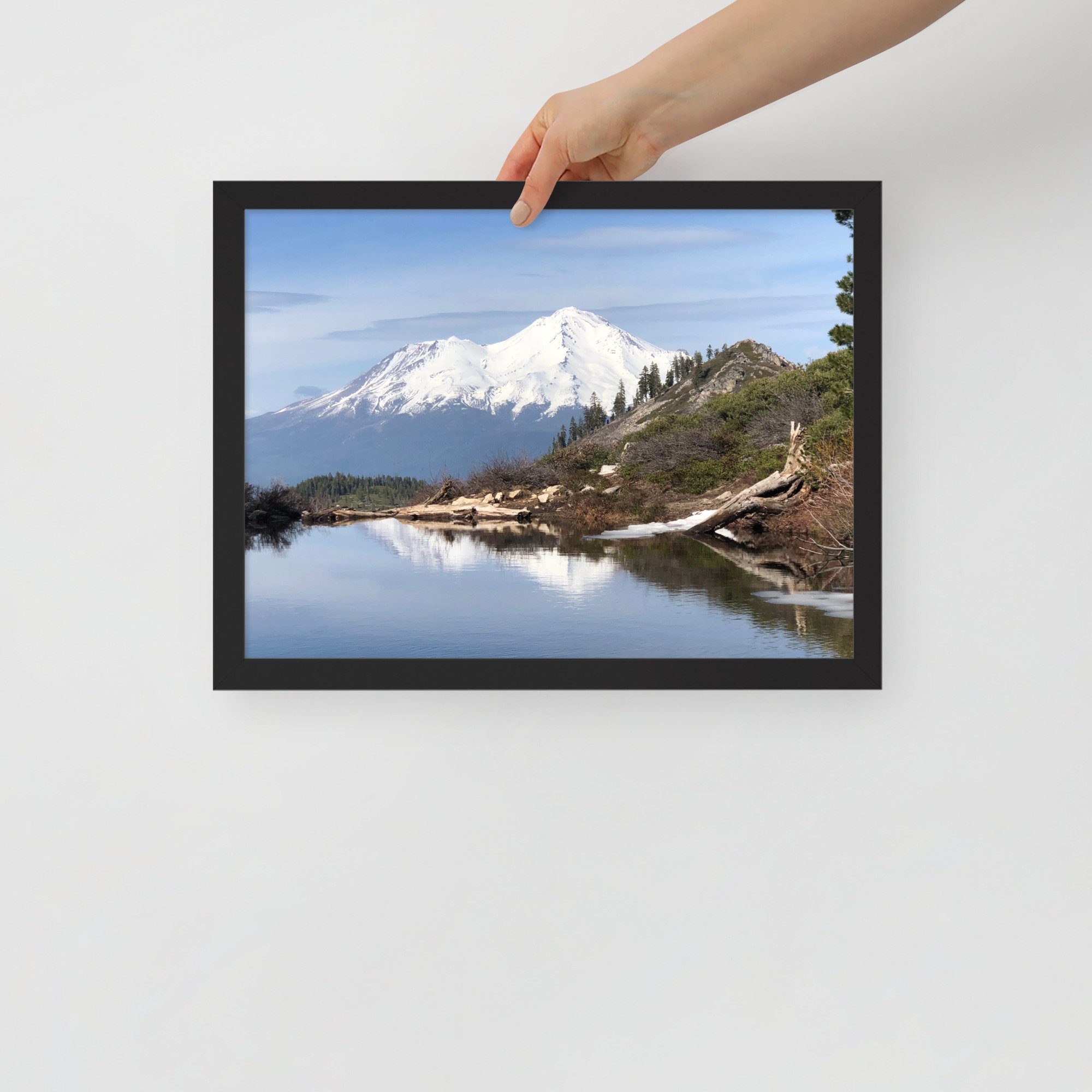 enhanced-matte-paper-framed-poster-(in)-black-12x16-front-63681fe79f885.jpg