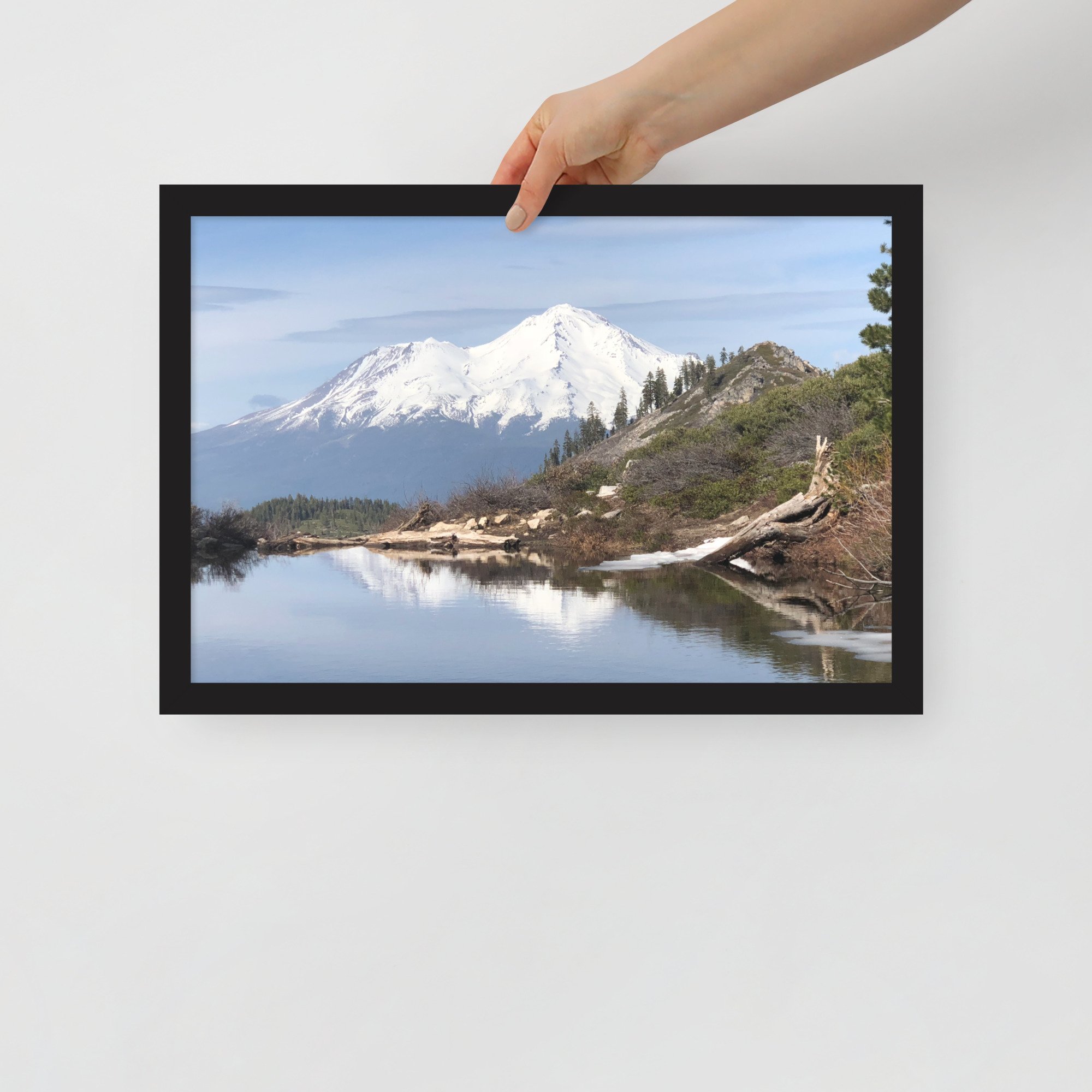 enhanced-matte-paper-framed-poster-(in)-black-12x18-front-63681fe79f8f5.jpg