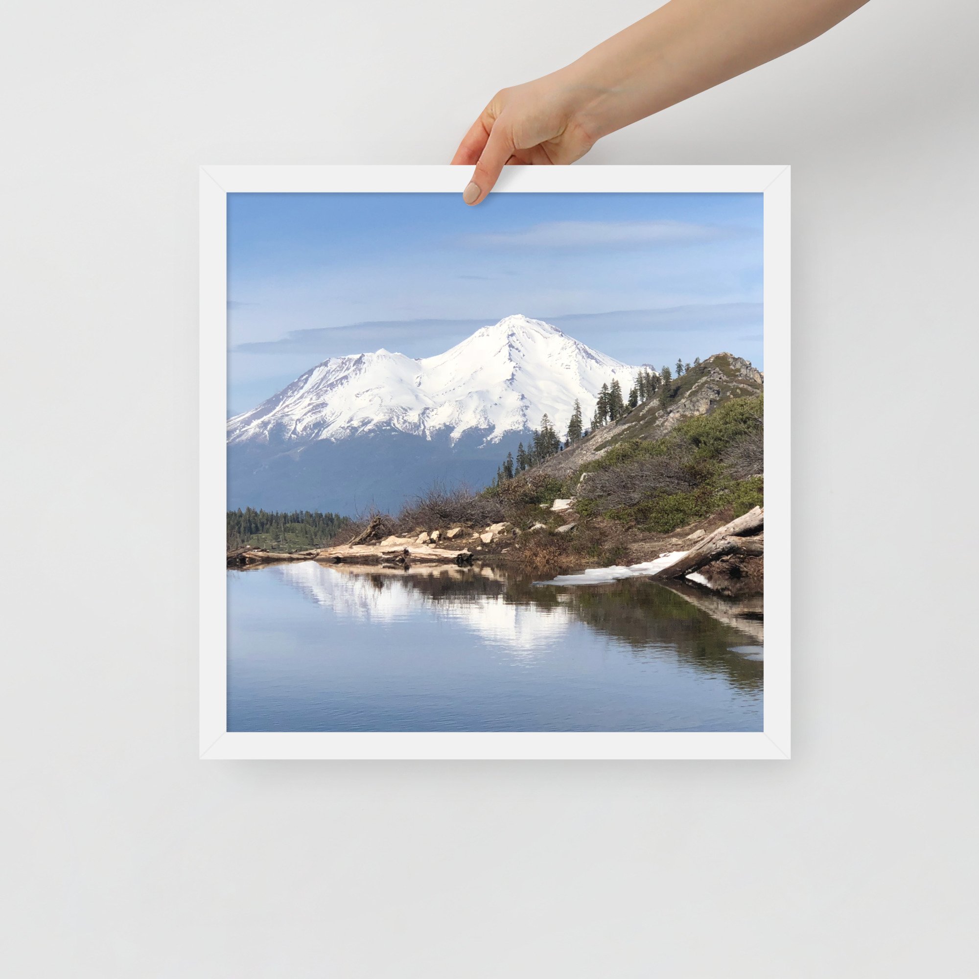 enhanced-matte-paper-framed-poster-(in)-white-16x16-front-63681fe79ff82.jpg