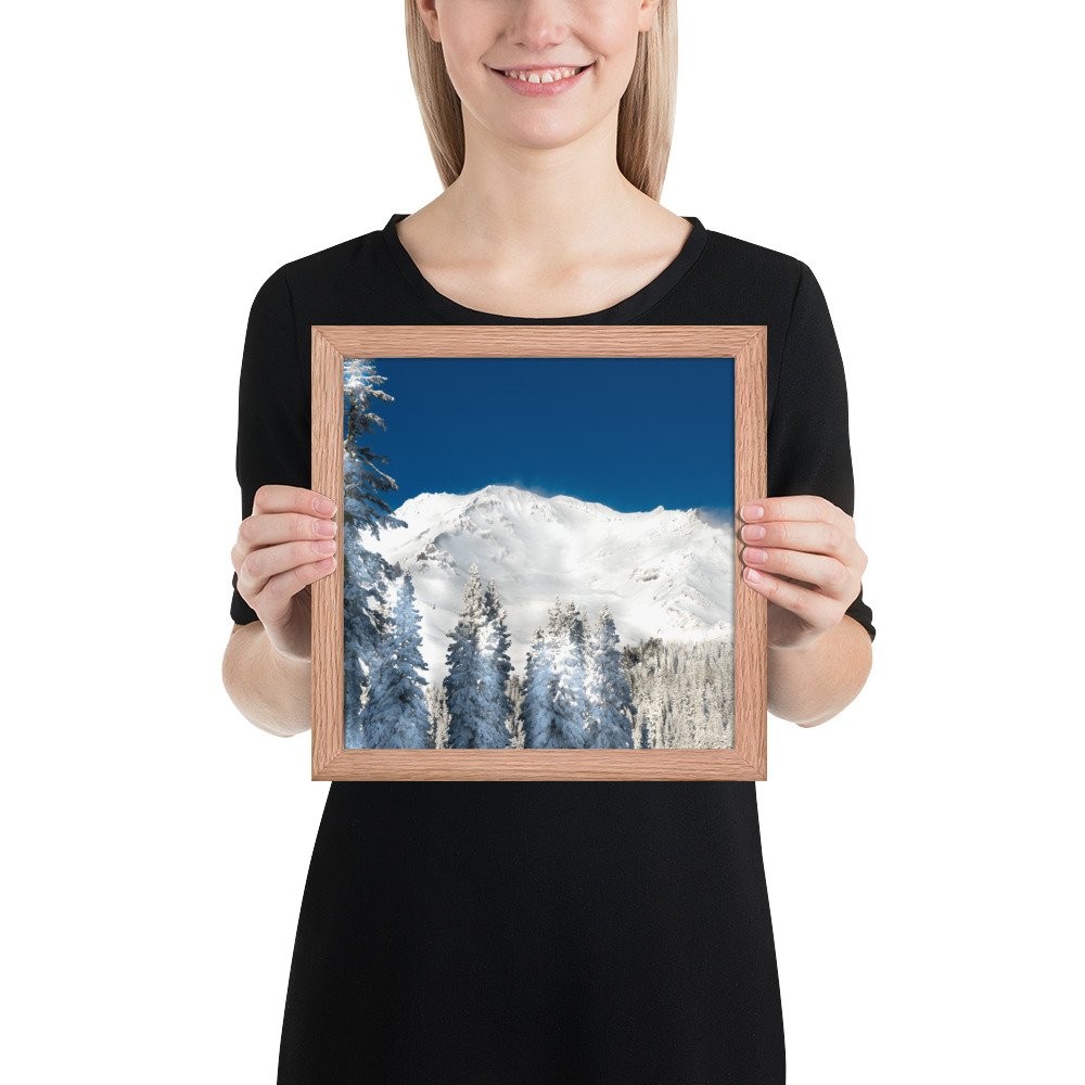 enhanced-matte-paper-framed-poster-(in)-red-oak-10x10-person-6368342d29f99.jpg