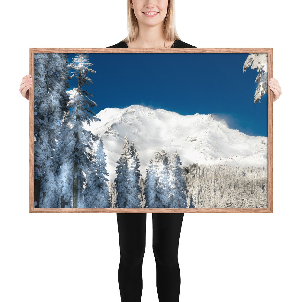 enhanced-matte-paper-framed-poster-(in)-red-oak-24x36-person-6368342d2a939.jpg