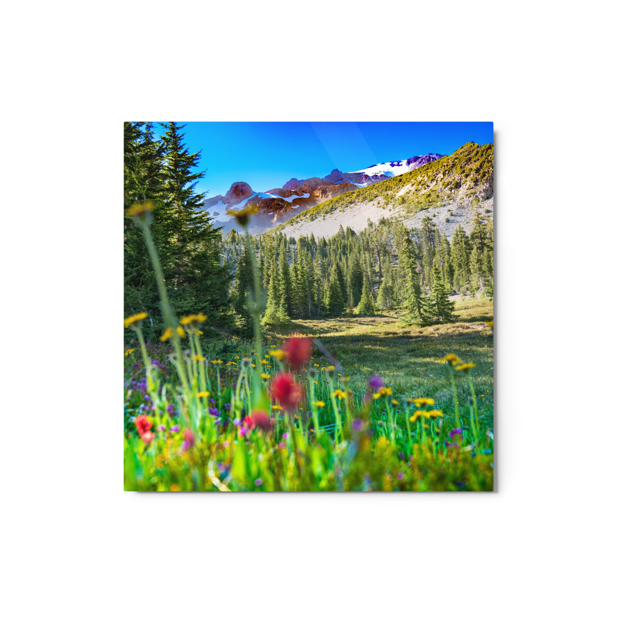 glossy-metal-print-(in)-white-12x12-front-63683bd94e656.jpg