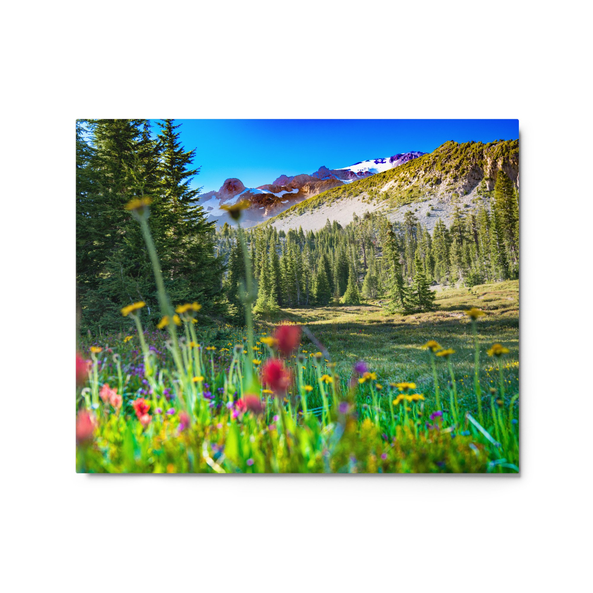 glossy-metal-print-(in)-white-16x20-front-63683bd94e766.jpg