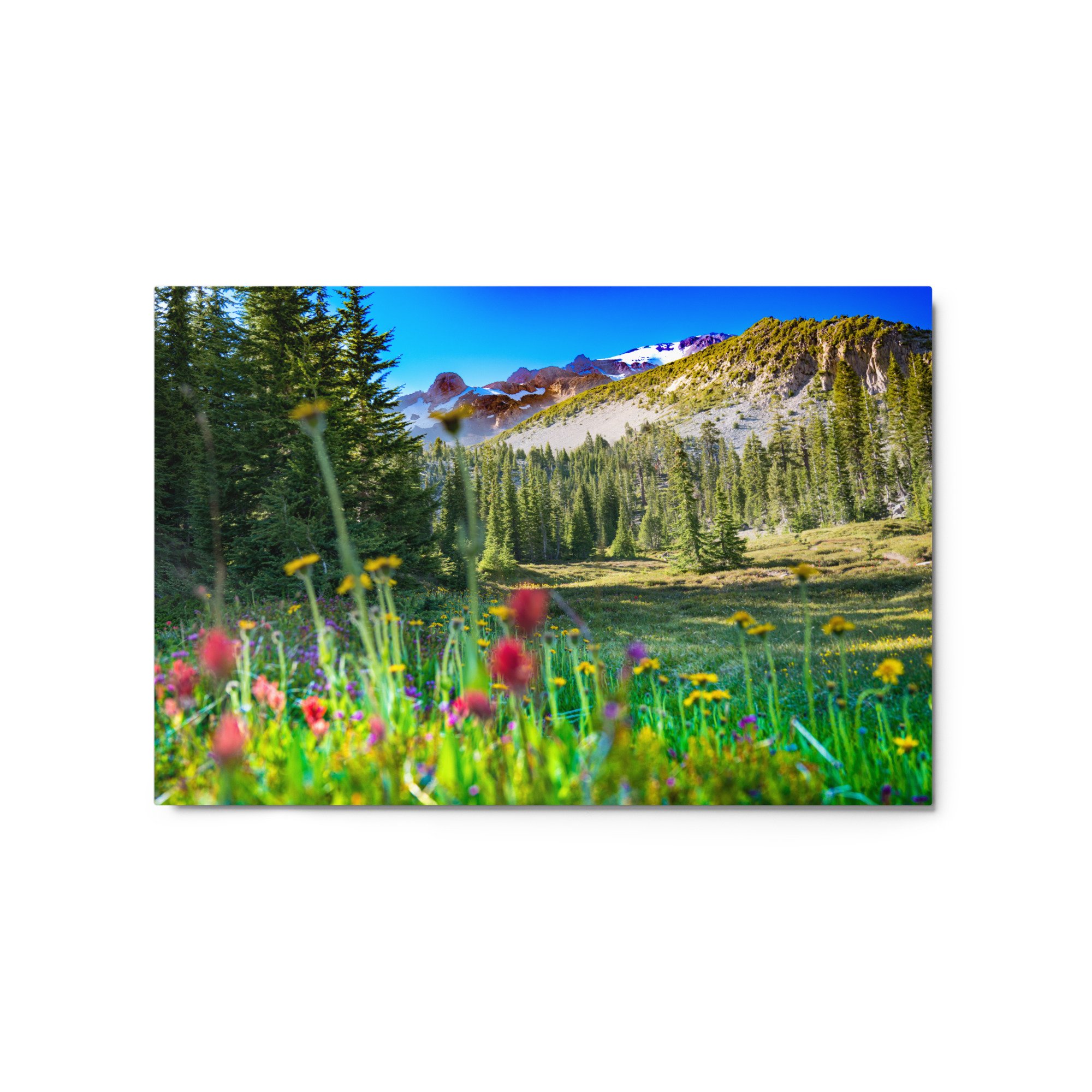 glossy-metal-print-(in)-white-20x30-front-63683bd94e7e3.jpg