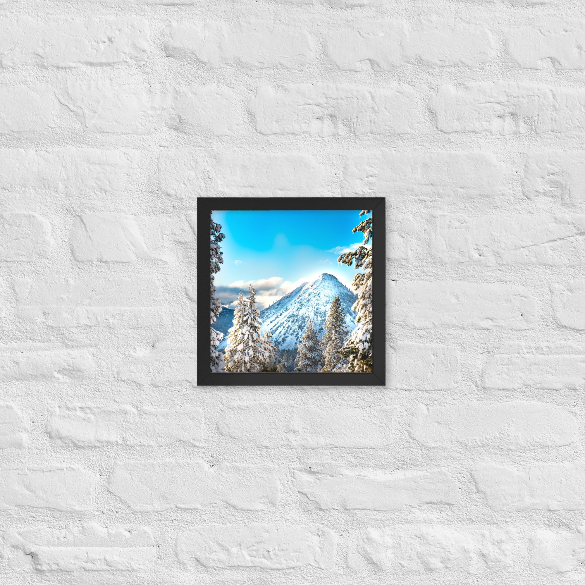 enhanced-matte-paper-framed-poster-(in)-black-10x10-front-636aa10f23f34.jpg