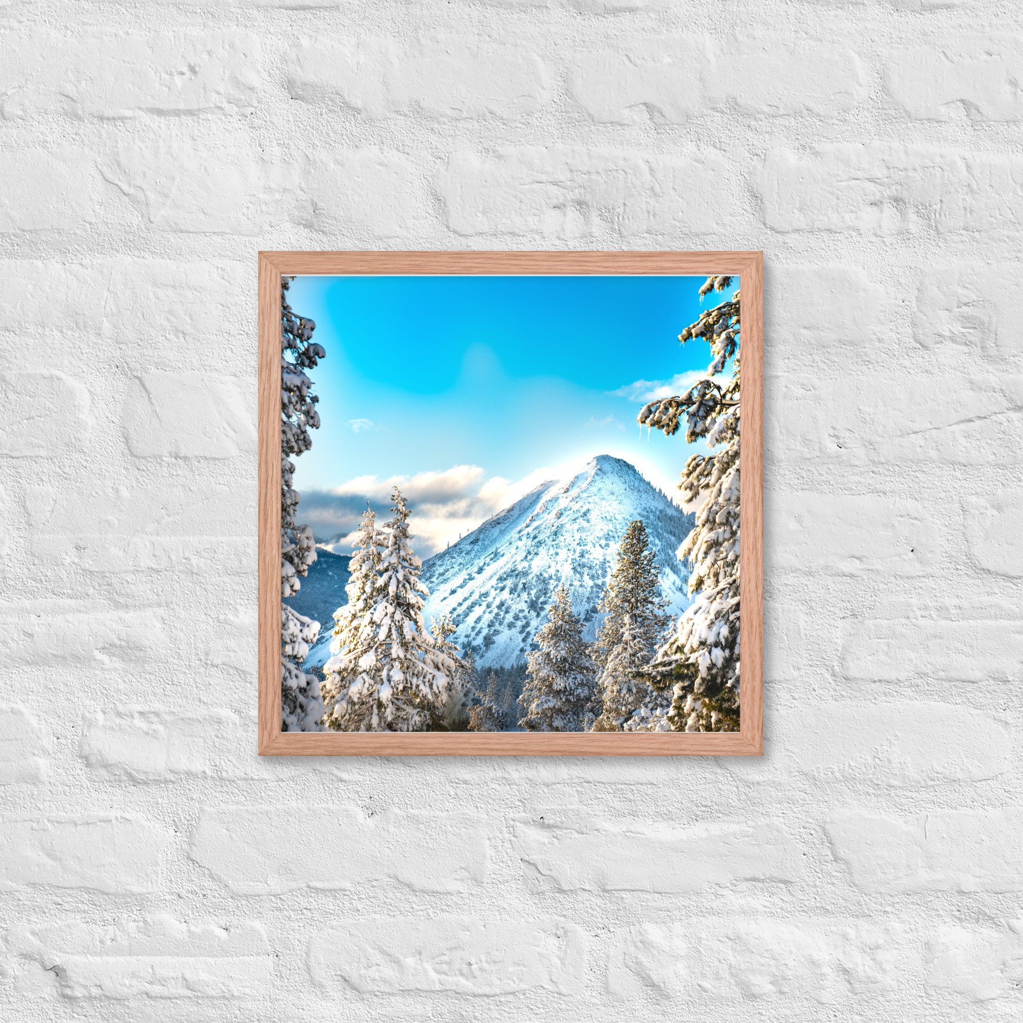 enhanced-matte-paper-framed-poster-(in)-red-oak-16x16-front-636aa10f24a12.jpg