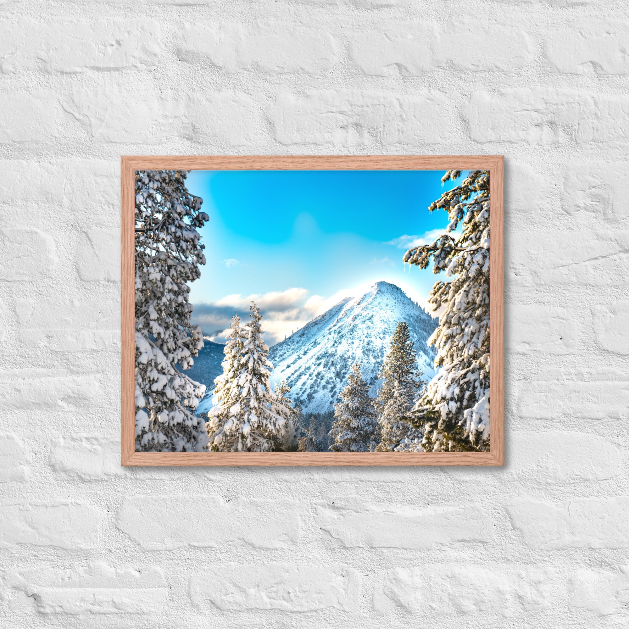 enhanced-matte-paper-framed-poster-(in)-red-oak-16x20-front-636aa10f24aa0.jpg