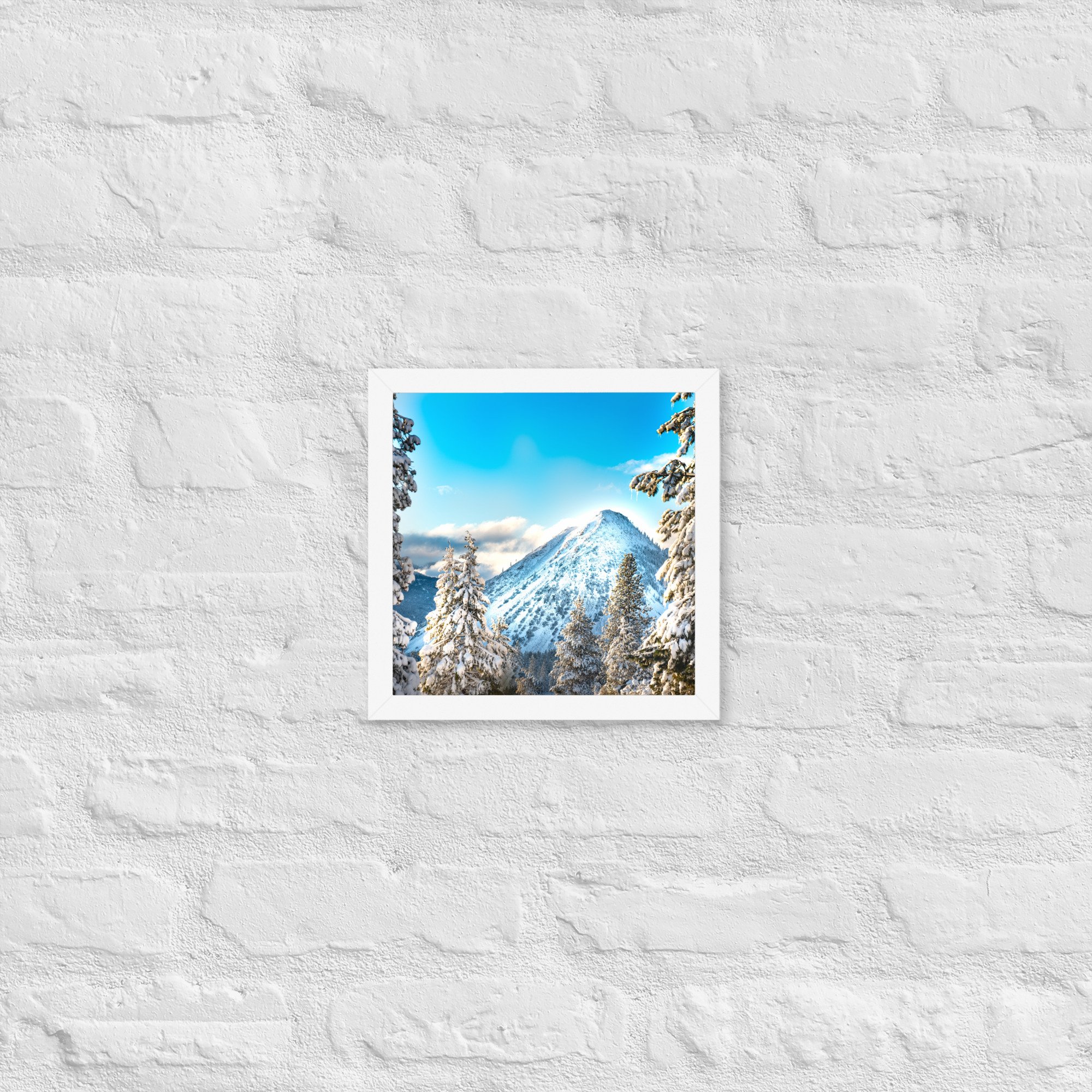 enhanced-matte-paper-framed-poster-(in)-white-10x10-front-636aa10f24d1e.jpg
