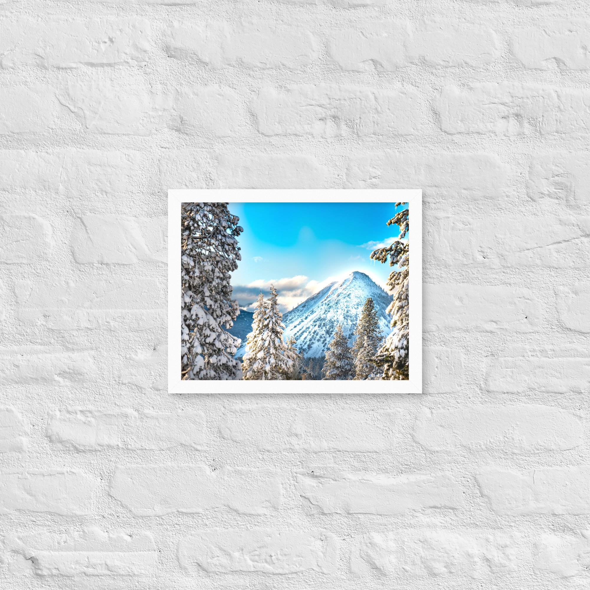 enhanced-matte-paper-framed-poster-(in)-white-11x14-front-636aa10f24ef4.jpg