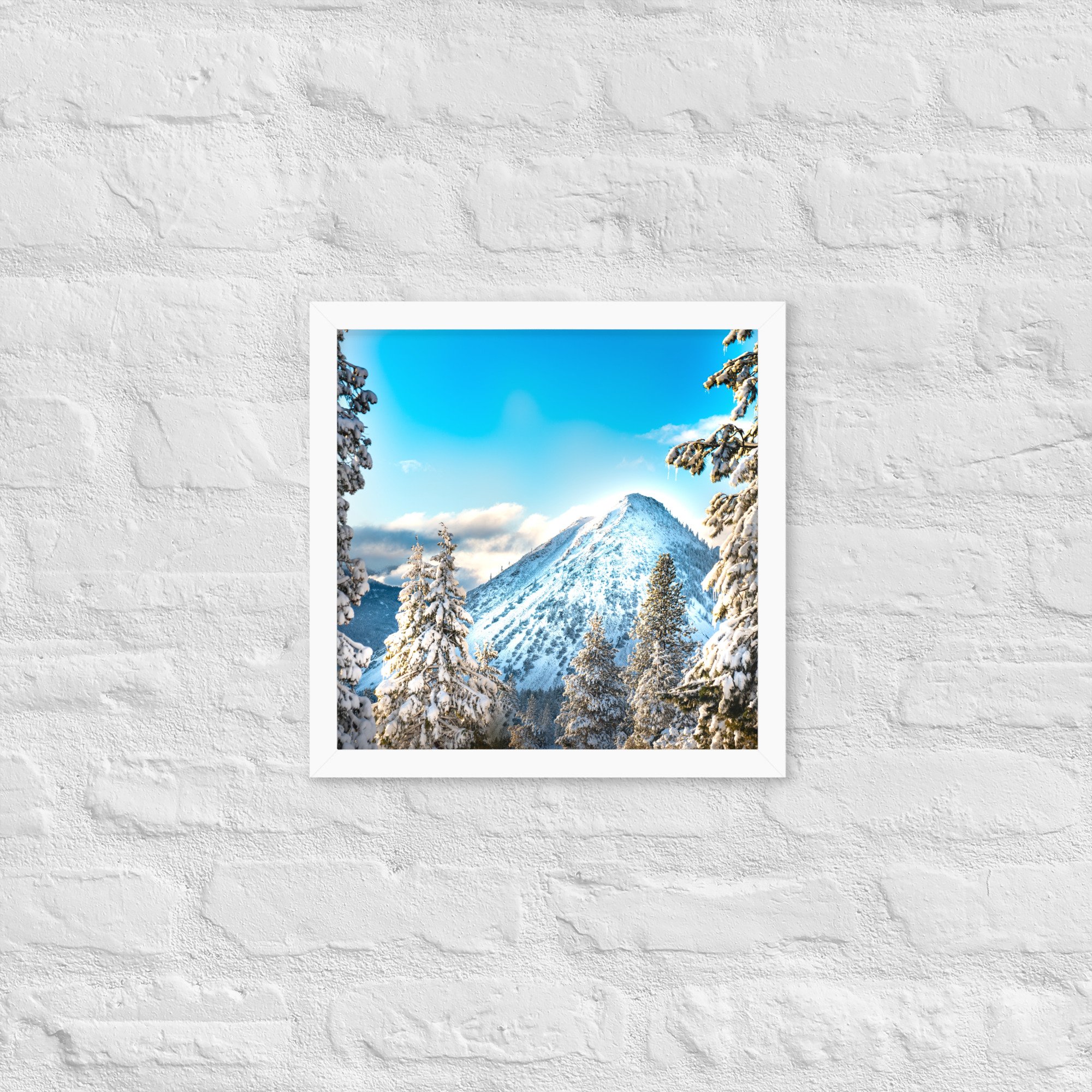 enhanced-matte-paper-framed-poster-(in)-white-14x14-front-636aa10f251bd.jpg