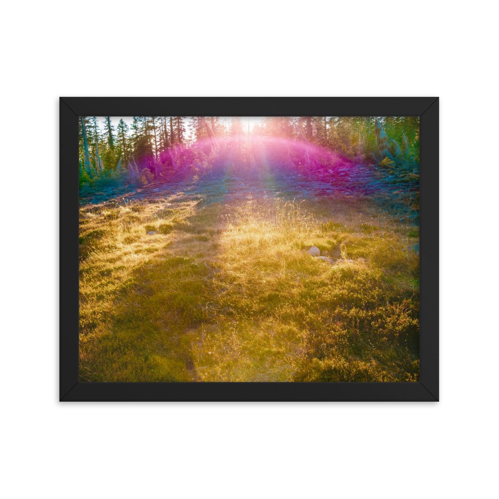 enhanced-matte-paper-framed-poster-(in)-black-11x14-transparent-636aa2d26c65e.jpg