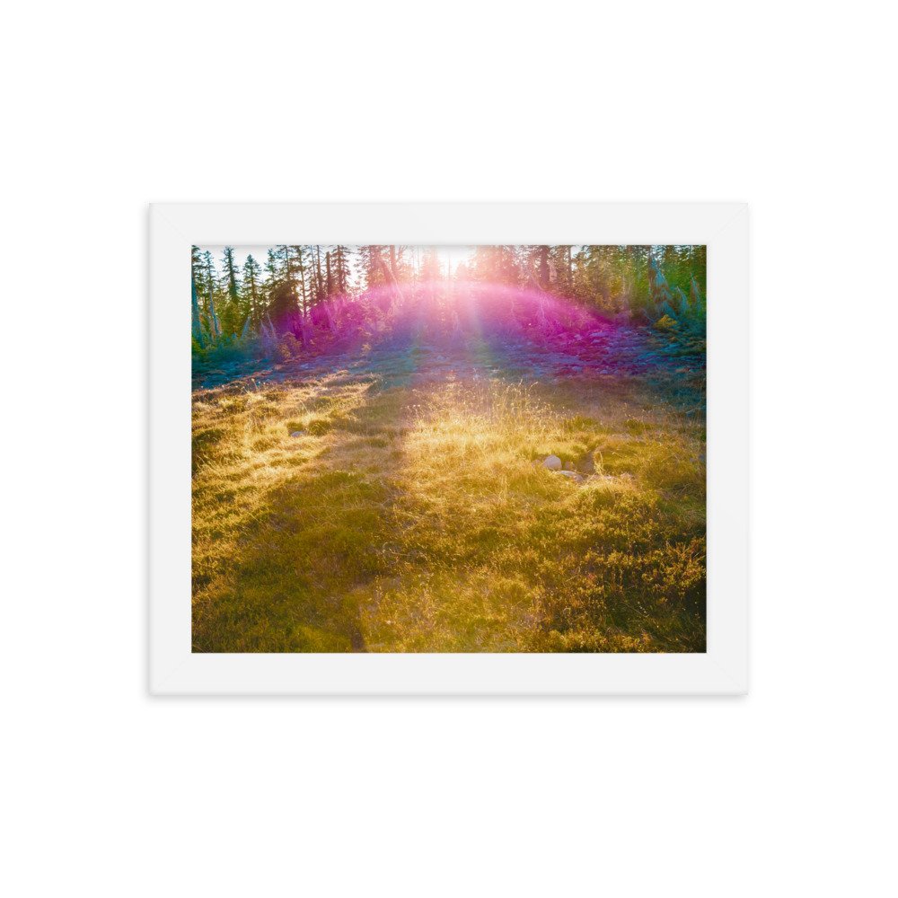 enhanced-matte-paper-framed-poster-(in)-white-8x10-transparent-636aa2d26d70c.jpg