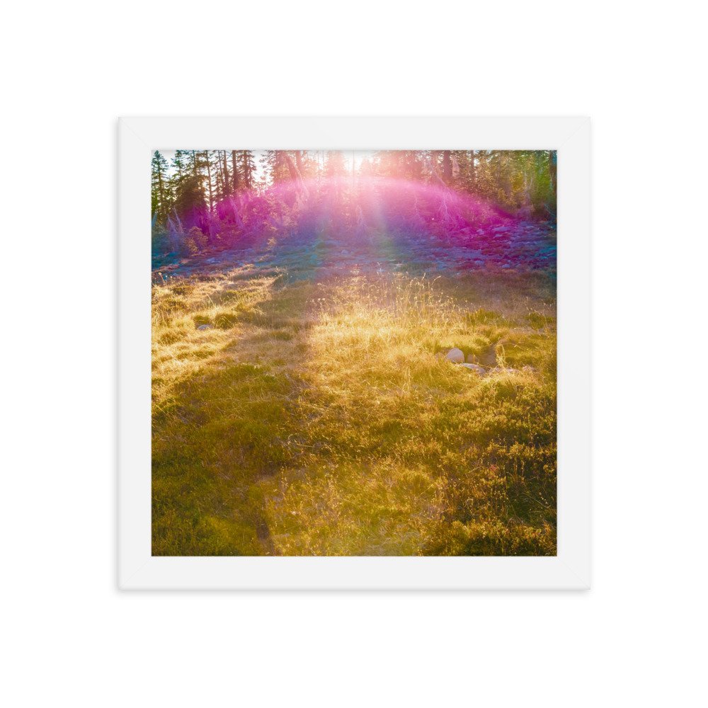 enhanced-matte-paper-framed-poster-(in)-white-10x10-transparent-636aa2d26d810.jpg