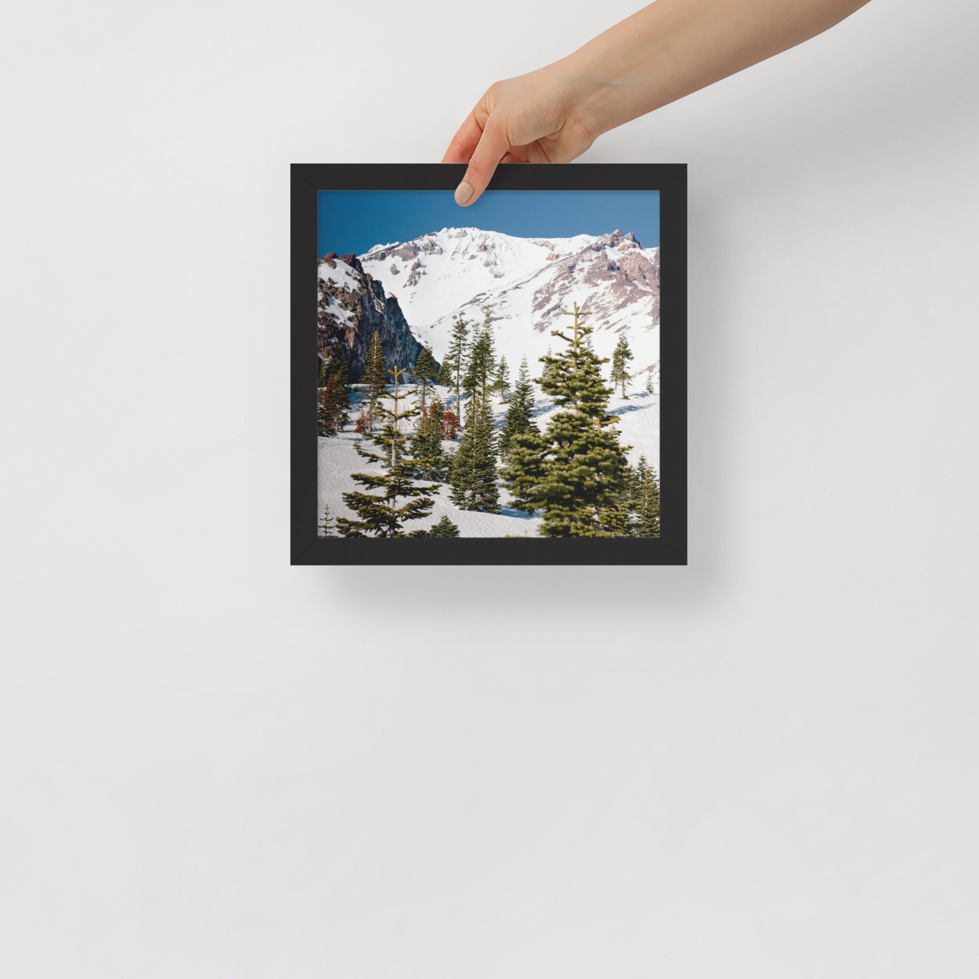 enhanced-matte-paper-framed-poster-(in)-black-10x10-front-636aa944c3151.jpg