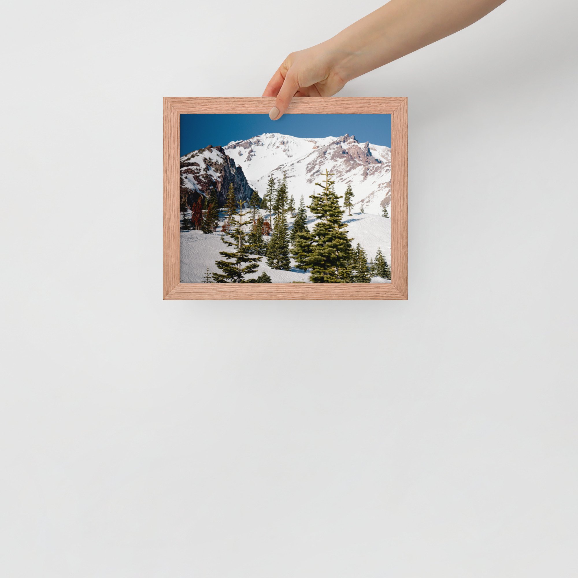 enhanced-matte-paper-framed-poster-(in)-red-oak-8x10-front-636aa944c3989.jpg