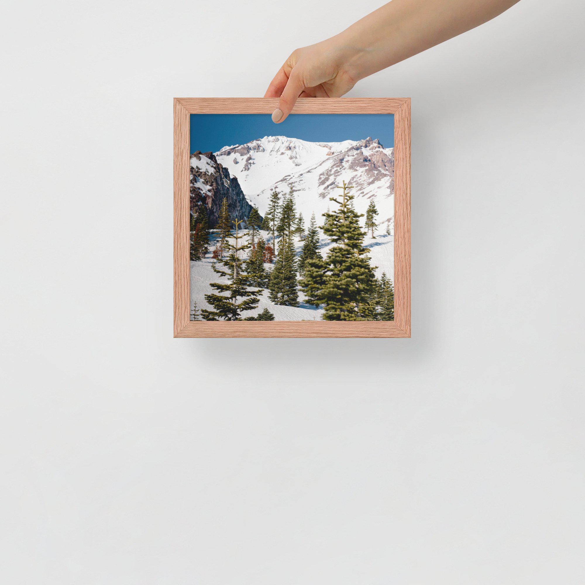 enhanced-matte-paper-framed-poster-(in)-red-oak-10x10-front-636aa944c3a14.jpg