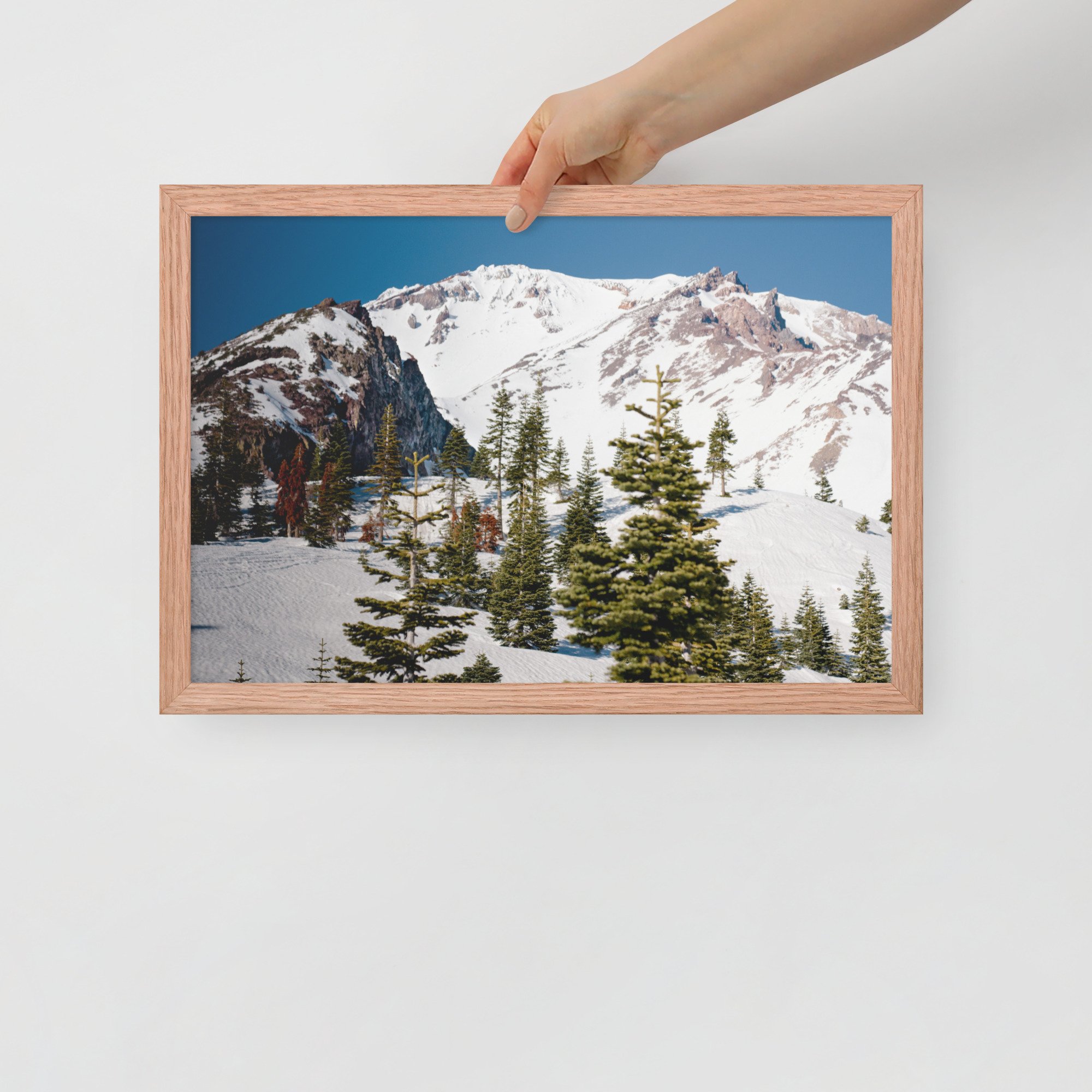 enhanced-matte-paper-framed-poster-(in)-red-oak-12x18-front-636aa944c3d0f.jpg