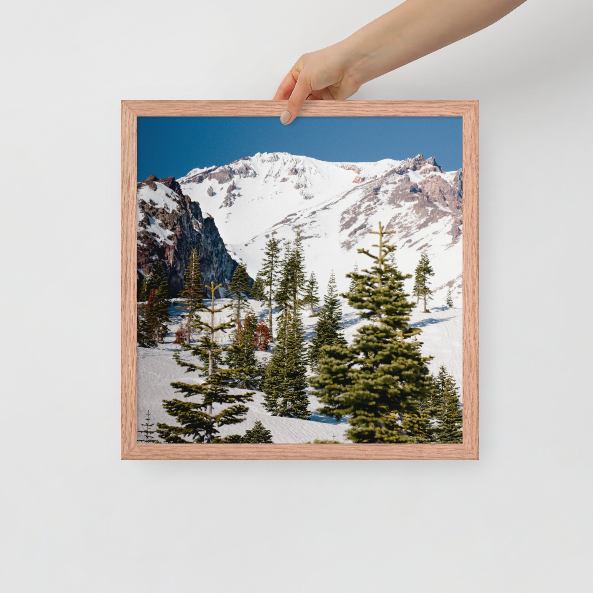 enhanced-matte-paper-framed-poster-(in)-red-oak-16x16-front-636aa944c3ec6.jpg