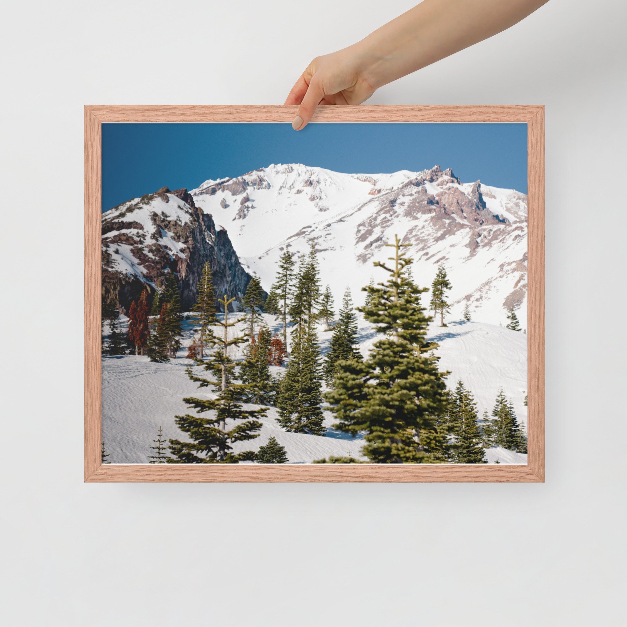 enhanced-matte-paper-framed-poster-(in)-red-oak-16x20-front-636aa944c3faa.jpg